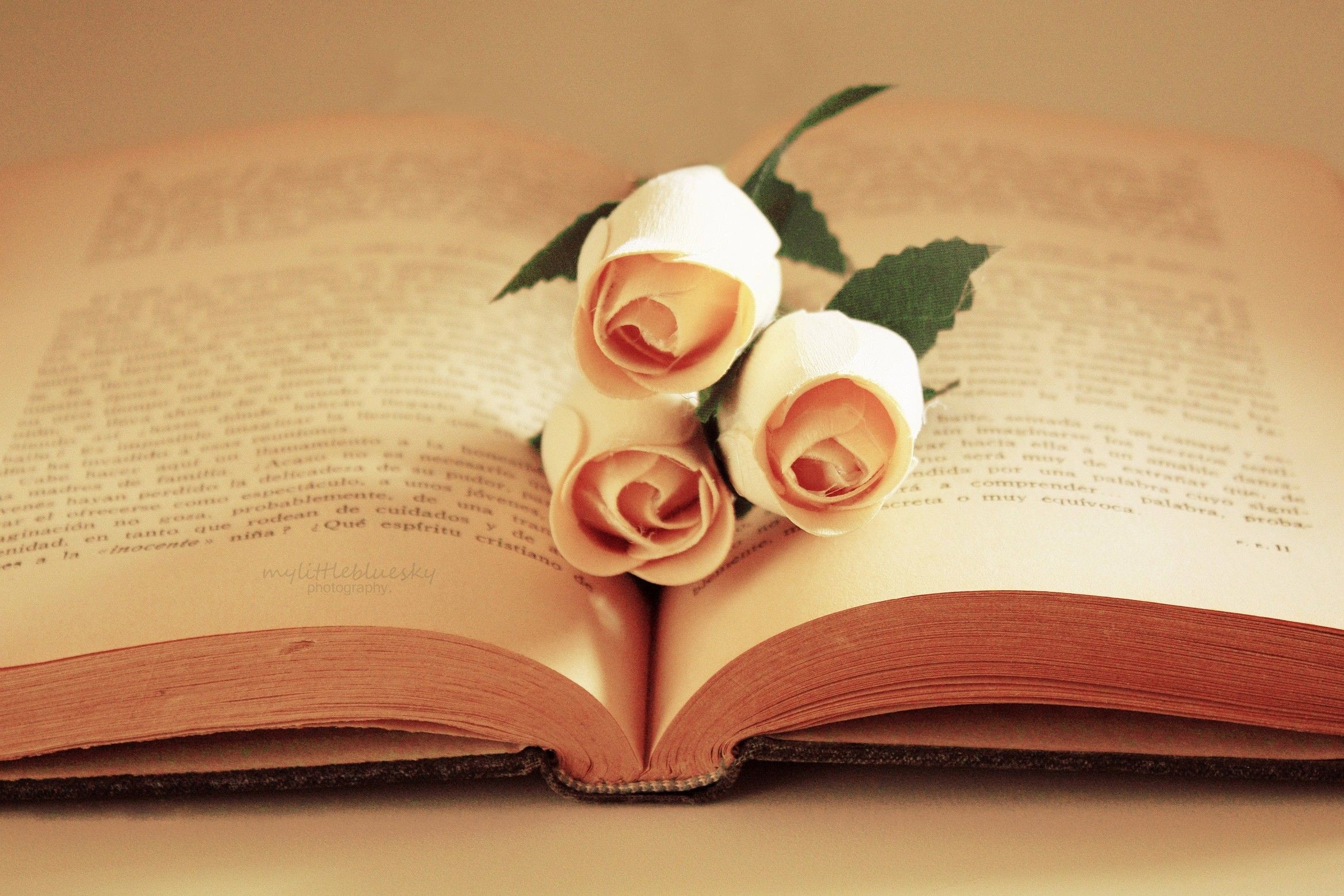 Wallpaper - Vintage Book And Flower , HD Wallpaper & Backgrounds
