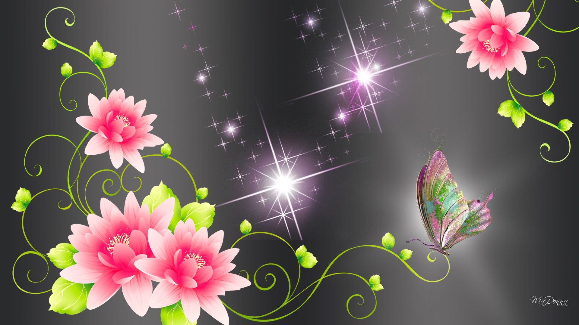 Hd Lotus Or Lilies Wallpaper, Stars, Black, Color, - Lotus Hd Images Design , HD Wallpaper & Backgrounds