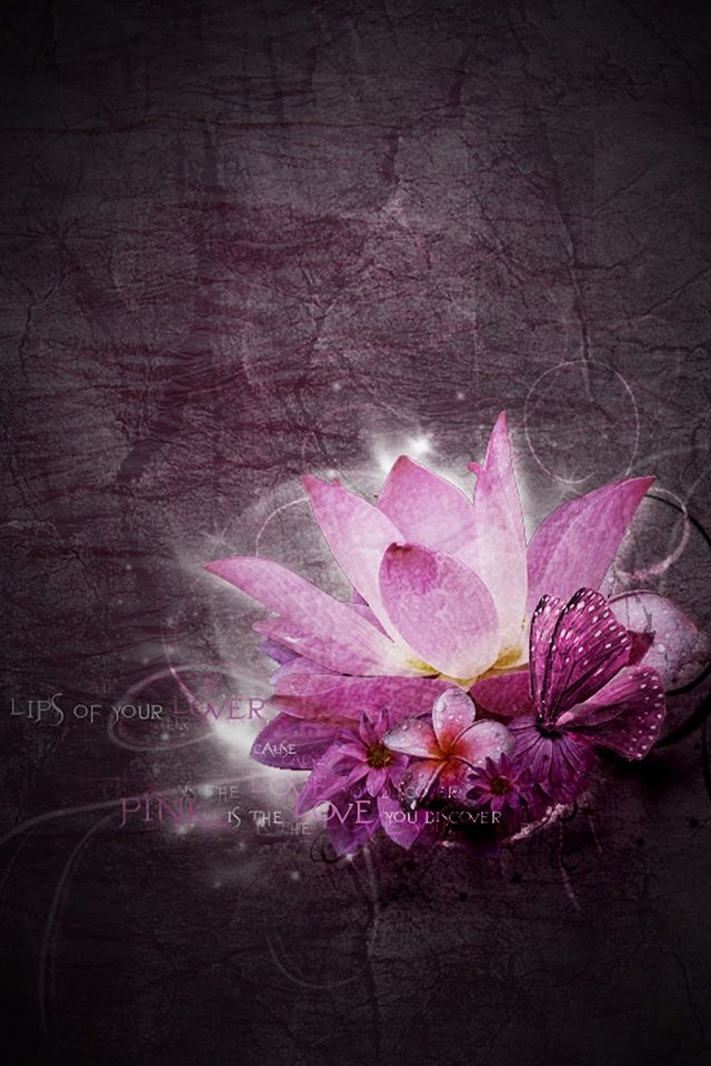 4,apple - Lotus Wallpaper For Iphone , HD Wallpaper & Backgrounds