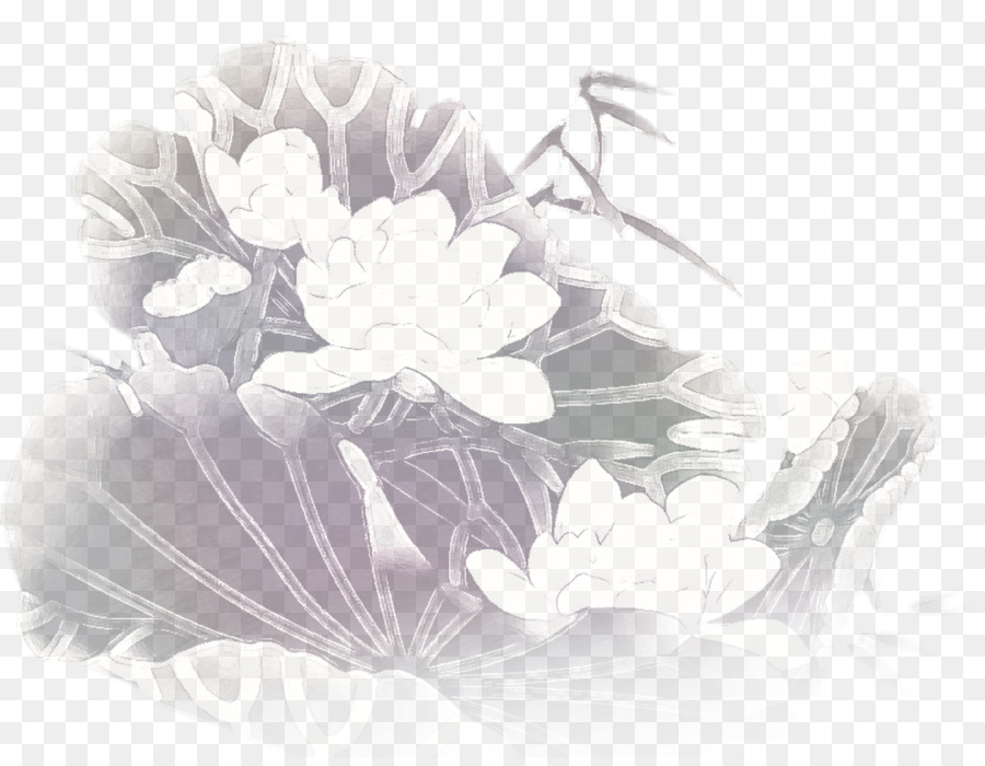 Black And White, Nelumbo Nucifera, Drawing, Computer - Gardenia , HD Wallpaper & Backgrounds