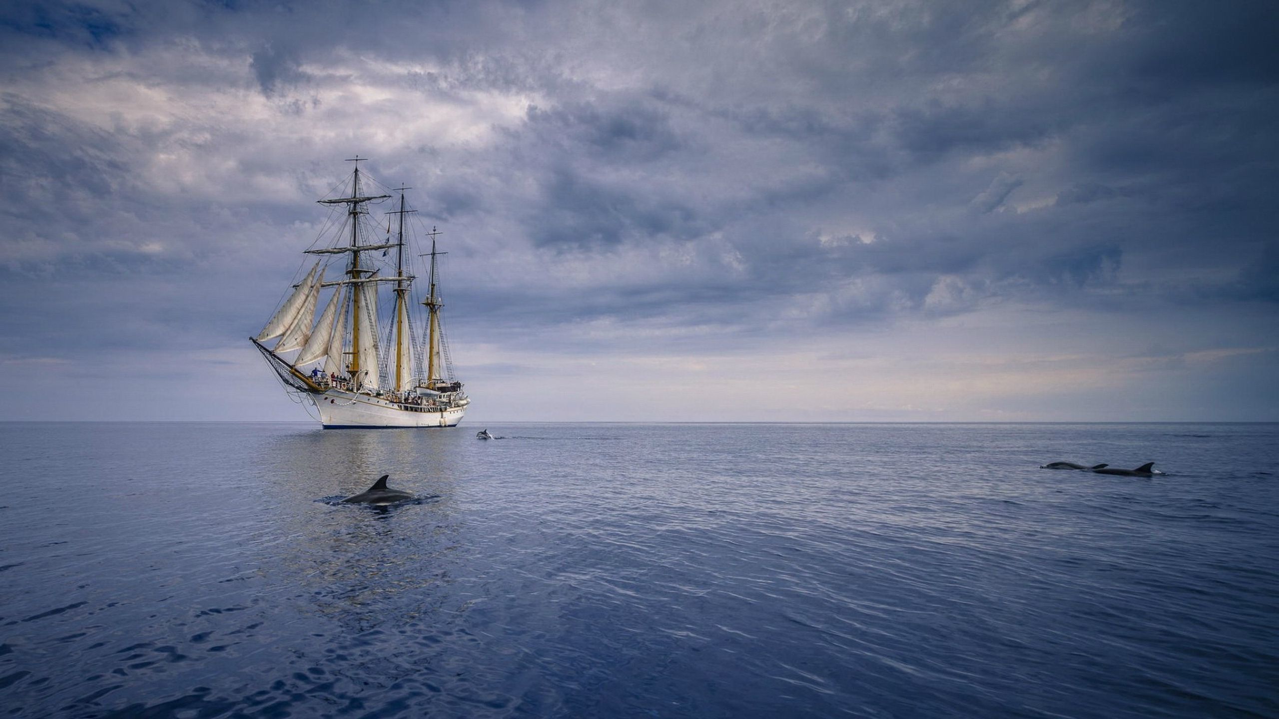 Sail, Sailing Ship, Sea, Brigantine, Ocean Hd Wallpaper, - Windjammer , HD Wallpaper & Backgrounds