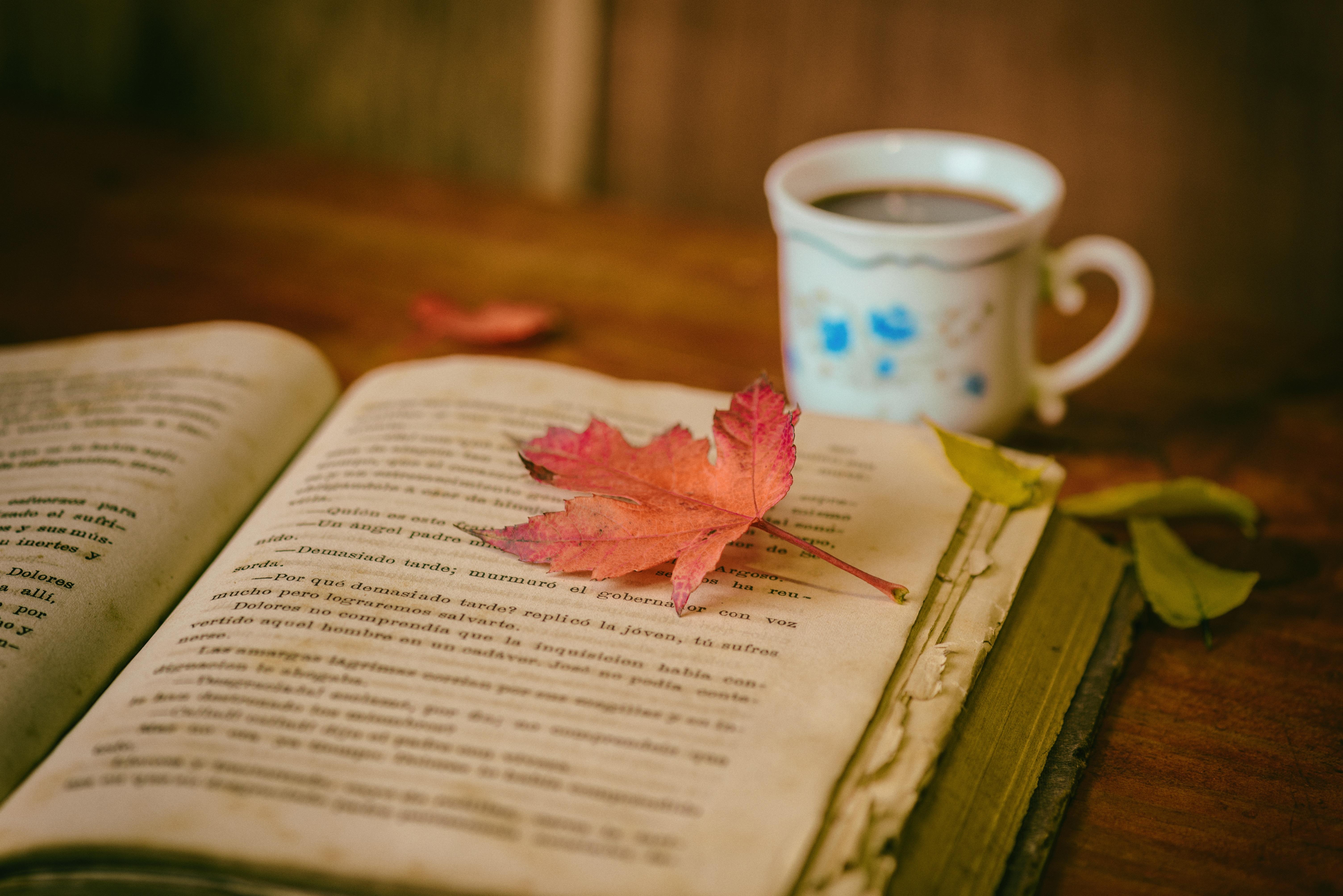 Book, Leaves, Cup, Autumn, Comfort, Reading, Coffee - Books Flower Coffee Photography , HD Wallpaper & Backgrounds