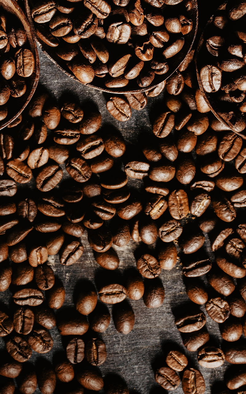 Wallpaper Roasted, Coffee Beans - Coffee Bean , HD Wallpaper & Backgrounds