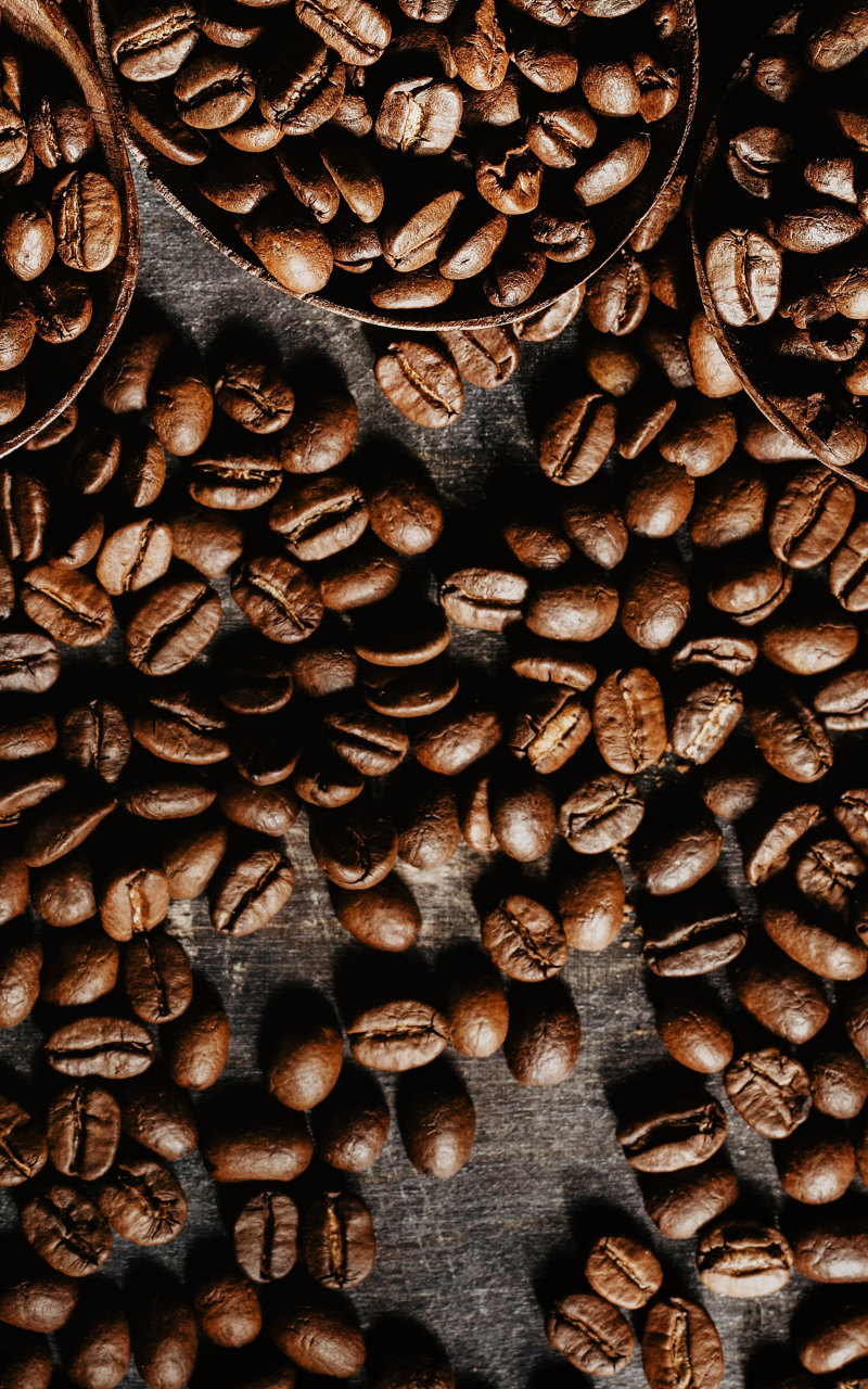 Wallpaper Roasted, Coffee Beans - Coffee Bean , HD Wallpaper & Backgrounds