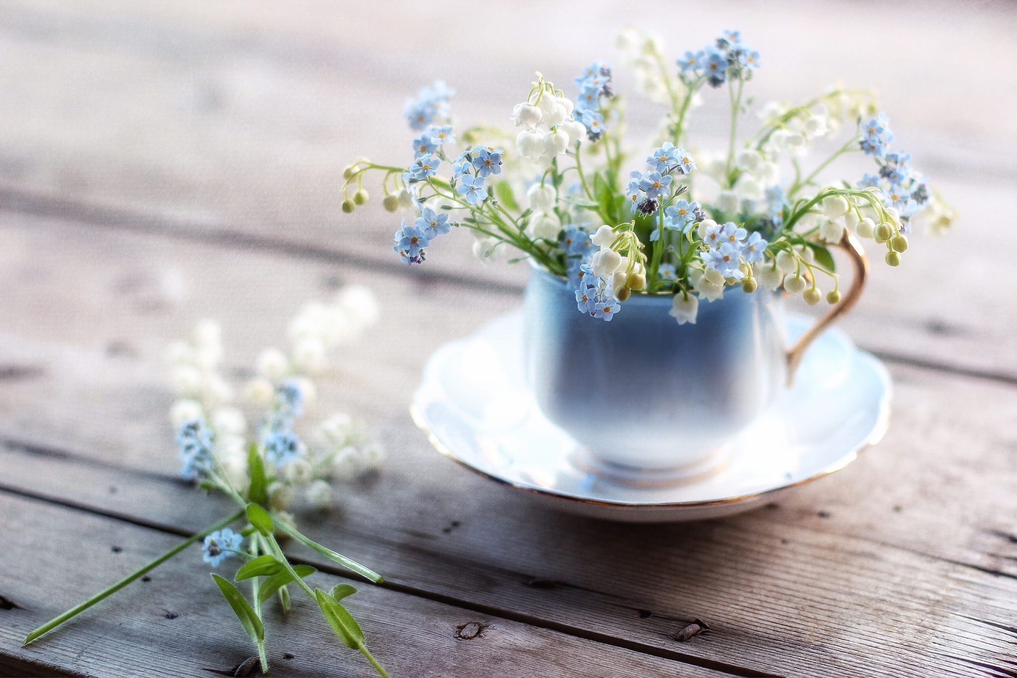 Mug - Forget Me Not And Lily Of The Valley , HD Wallpaper & Backgrounds