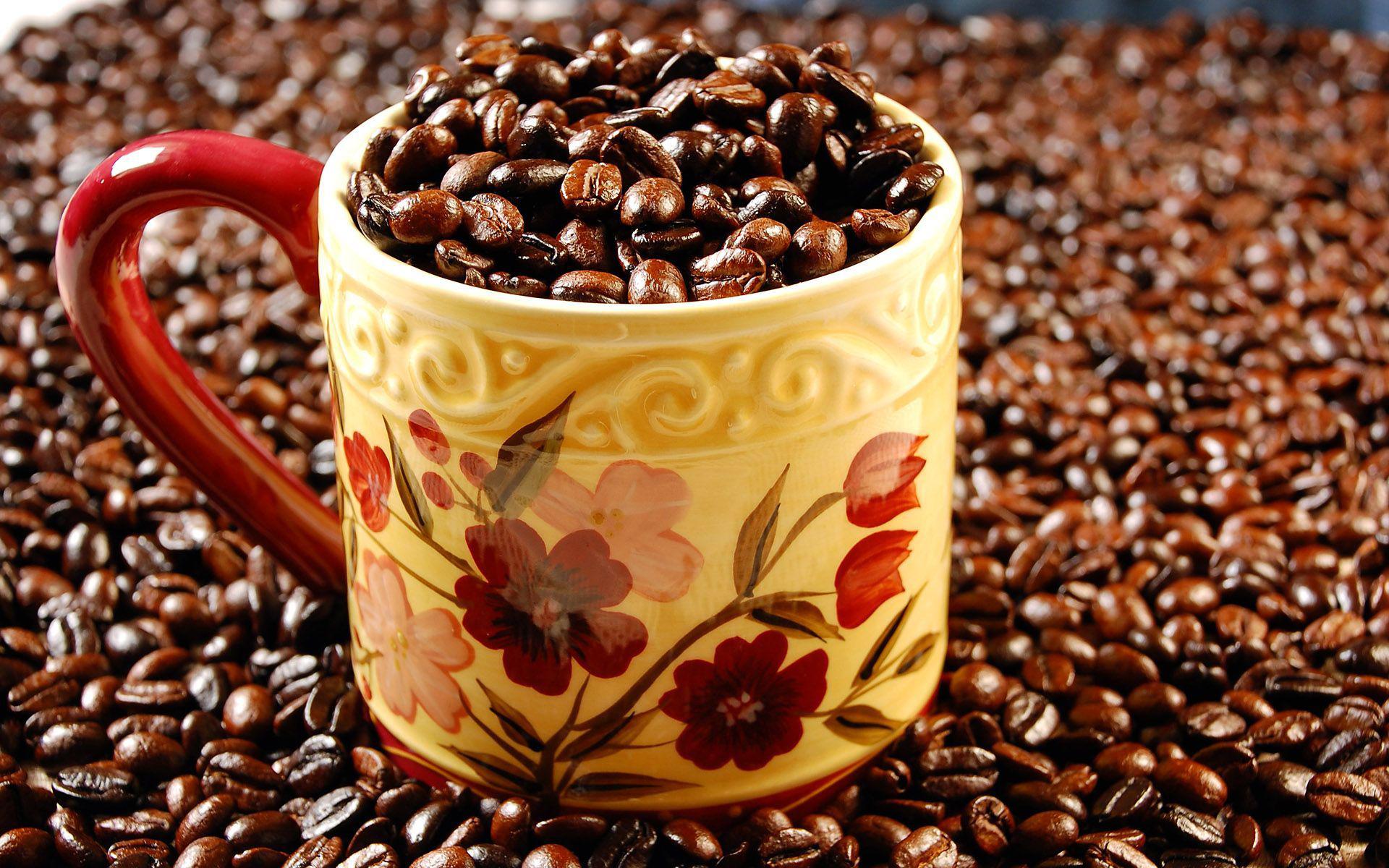 Cup Of Coffee Beans Wallpaper Nature And Landscape - Cup , HD Wallpaper & Backgrounds