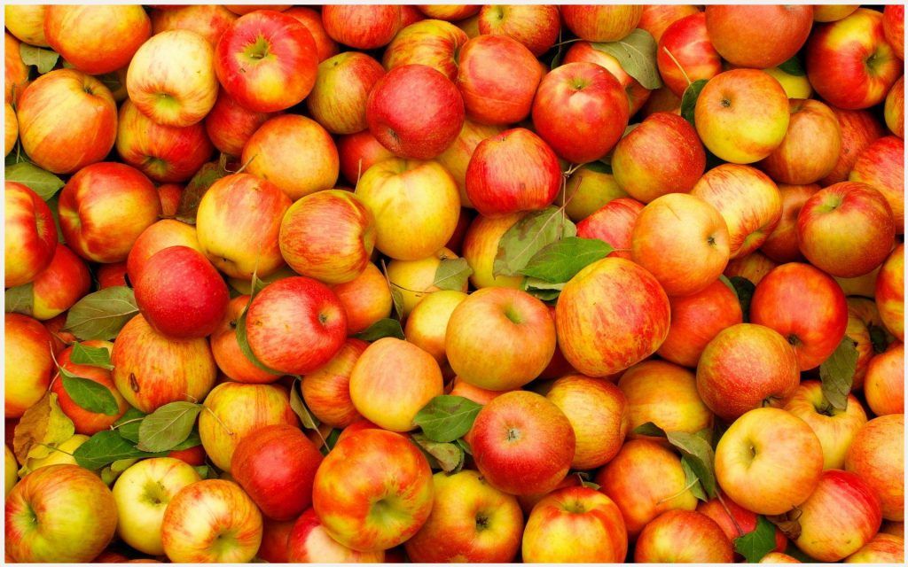 Apple Fruits Wallpaper - Apple Fruit , HD Wallpaper & Backgrounds