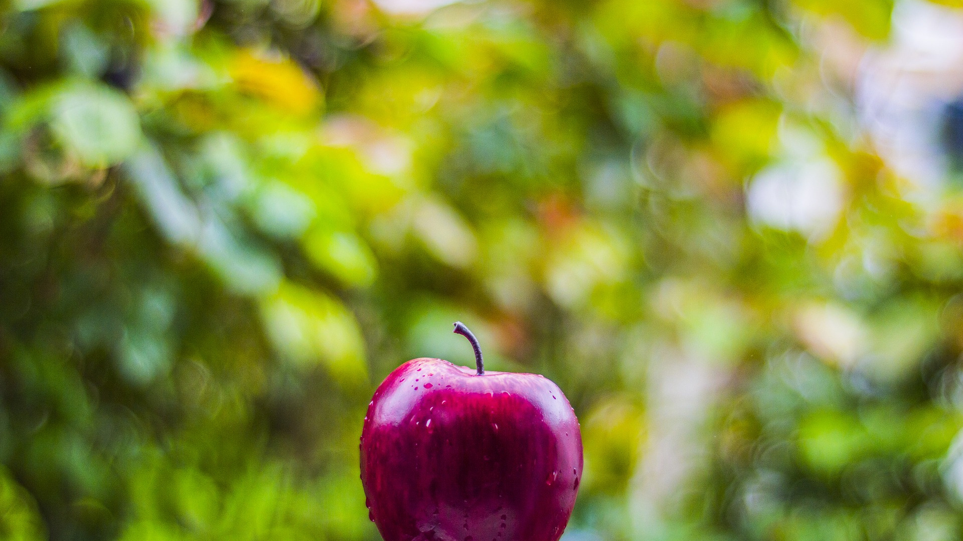 Wallpaper Apple Fruit, Drops, Bokeh - Nature Apple , HD Wallpaper & Backgrounds