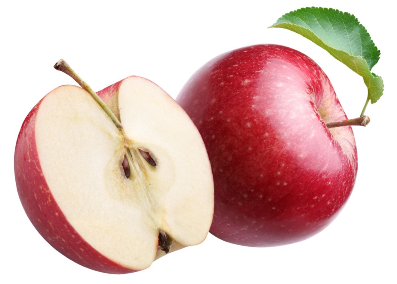 Latin Apple Bottom