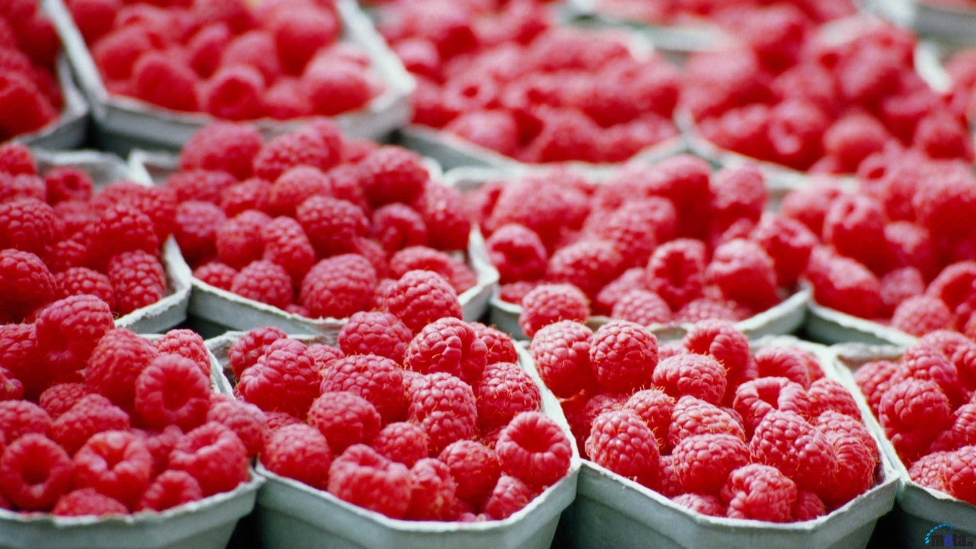 Berries, Food, Fruits, High, Definition, Wallpaper, - Raspberry Fruit , HD Wallpaper & Backgrounds