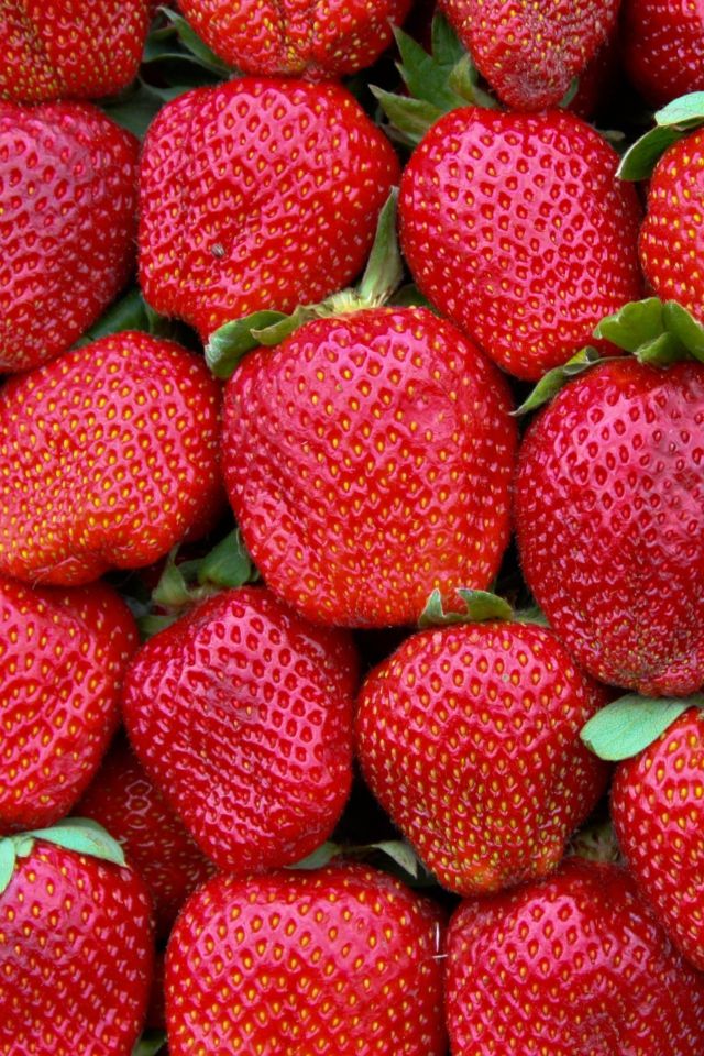 Best Strawberries Wallpaper - Iphone 6 Wallpapers Spring , HD Wallpaper & Backgrounds
