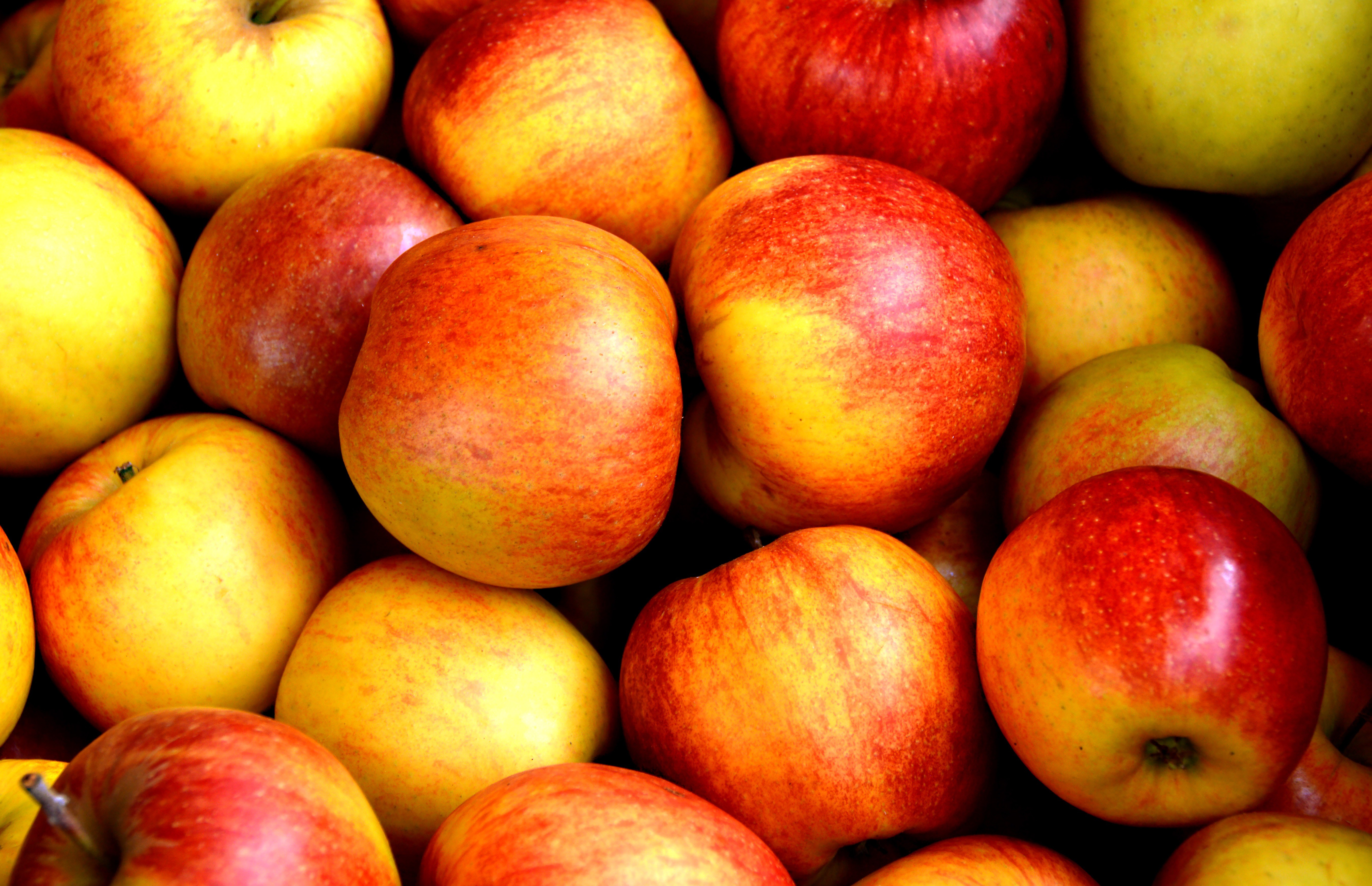 Apples Fruit Wallpaper For Mobile - Apple Fruits , HD Wallpaper & Backgrounds
