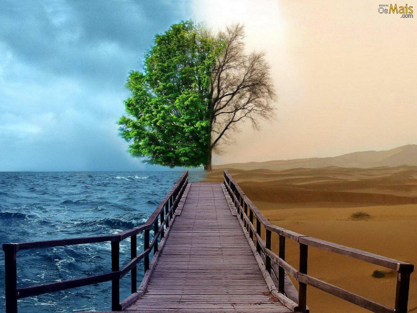 Papel De Parede Dois Lados Da Natureza - Life And Death Tree , HD Wallpaper & Backgrounds