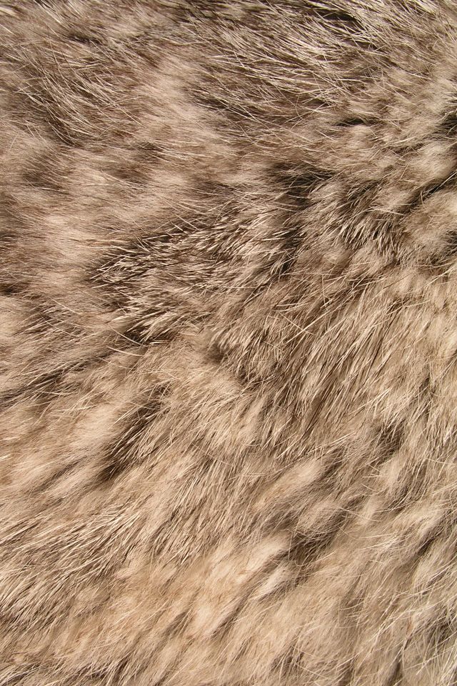 Animal Fur Iphone Wallpaper - Fur Wallpaper Iphone , HD Wallpaper & Backgrounds