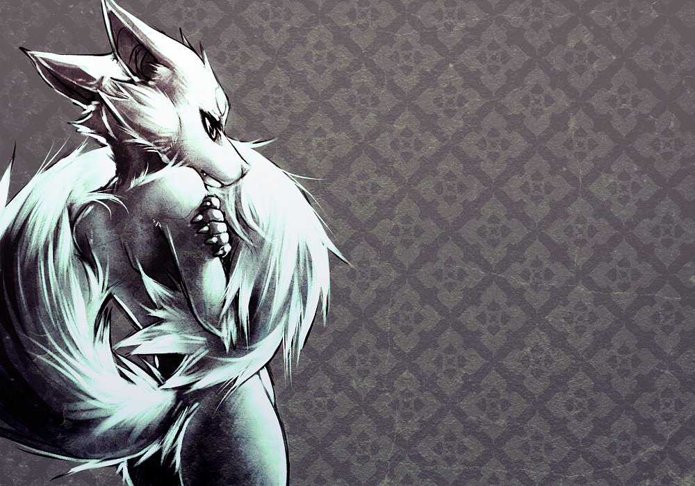 Grey Female Wolf Furry , HD Wallpaper & Backgrounds
