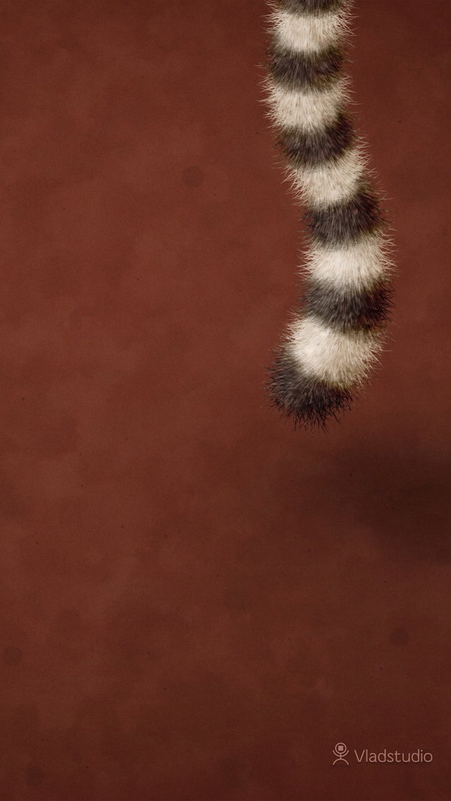 Furry Tail - Invertebrate , HD Wallpaper & Backgrounds