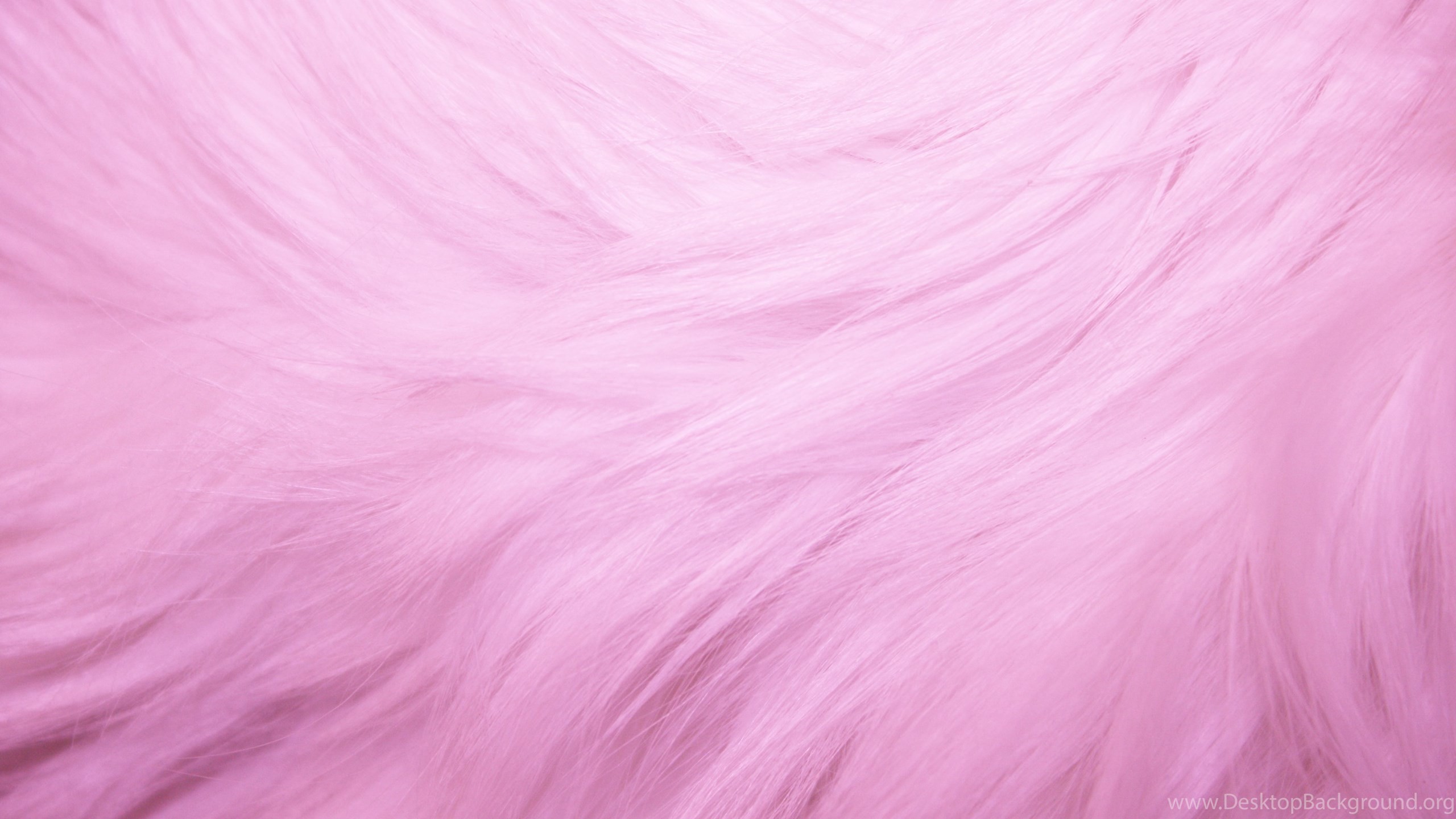 Netbook - High Resolution Pink Fur , HD Wallpaper & Backgrounds