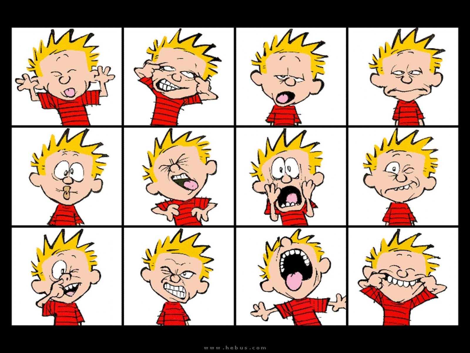 Wallpapers Id - - Many Faces Of Calvin , HD Wallpaper & Backgrounds