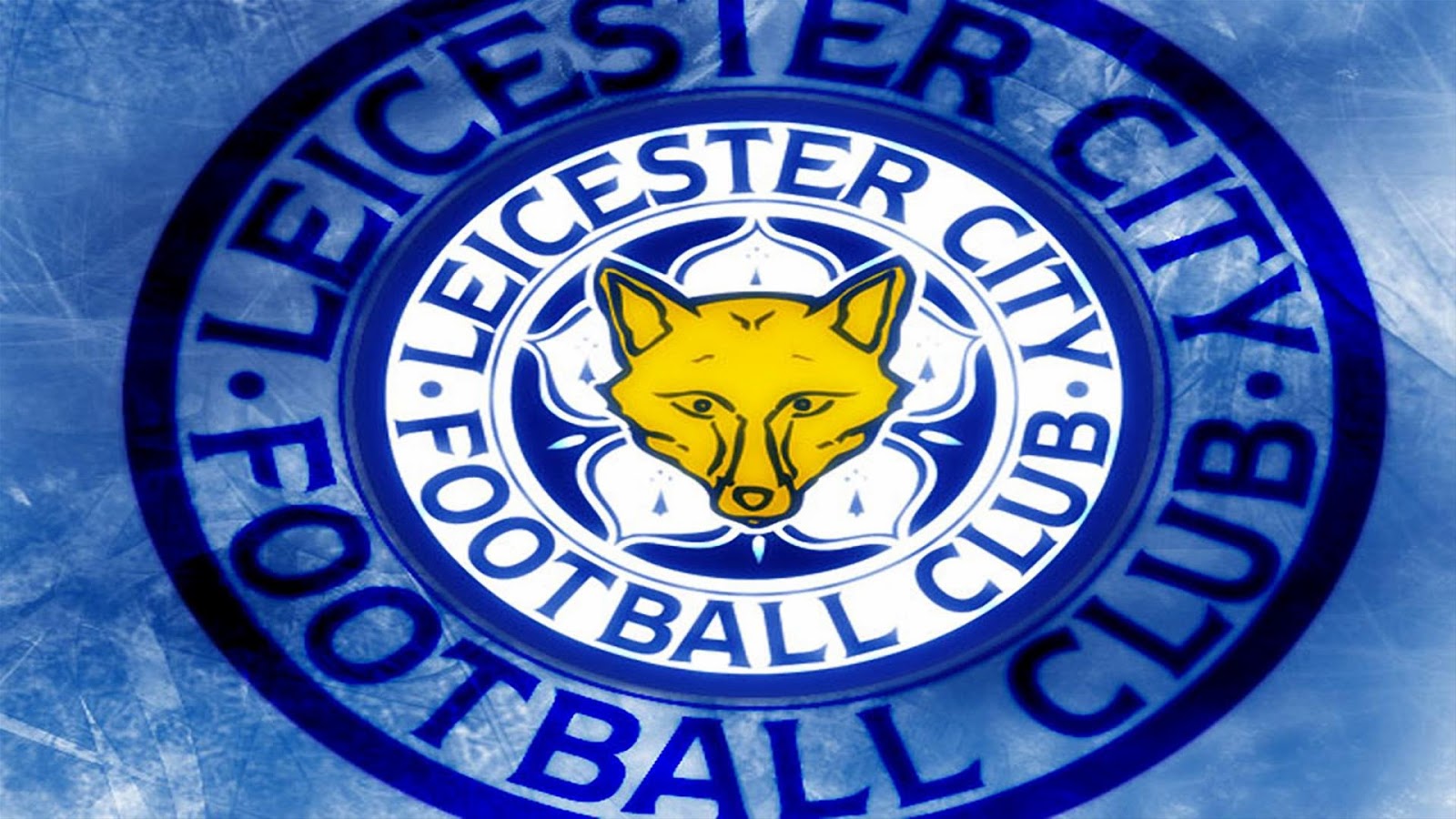 Leicester City Hd Wallpaper - Leicester City Football Club , HD Wallpaper & Backgrounds