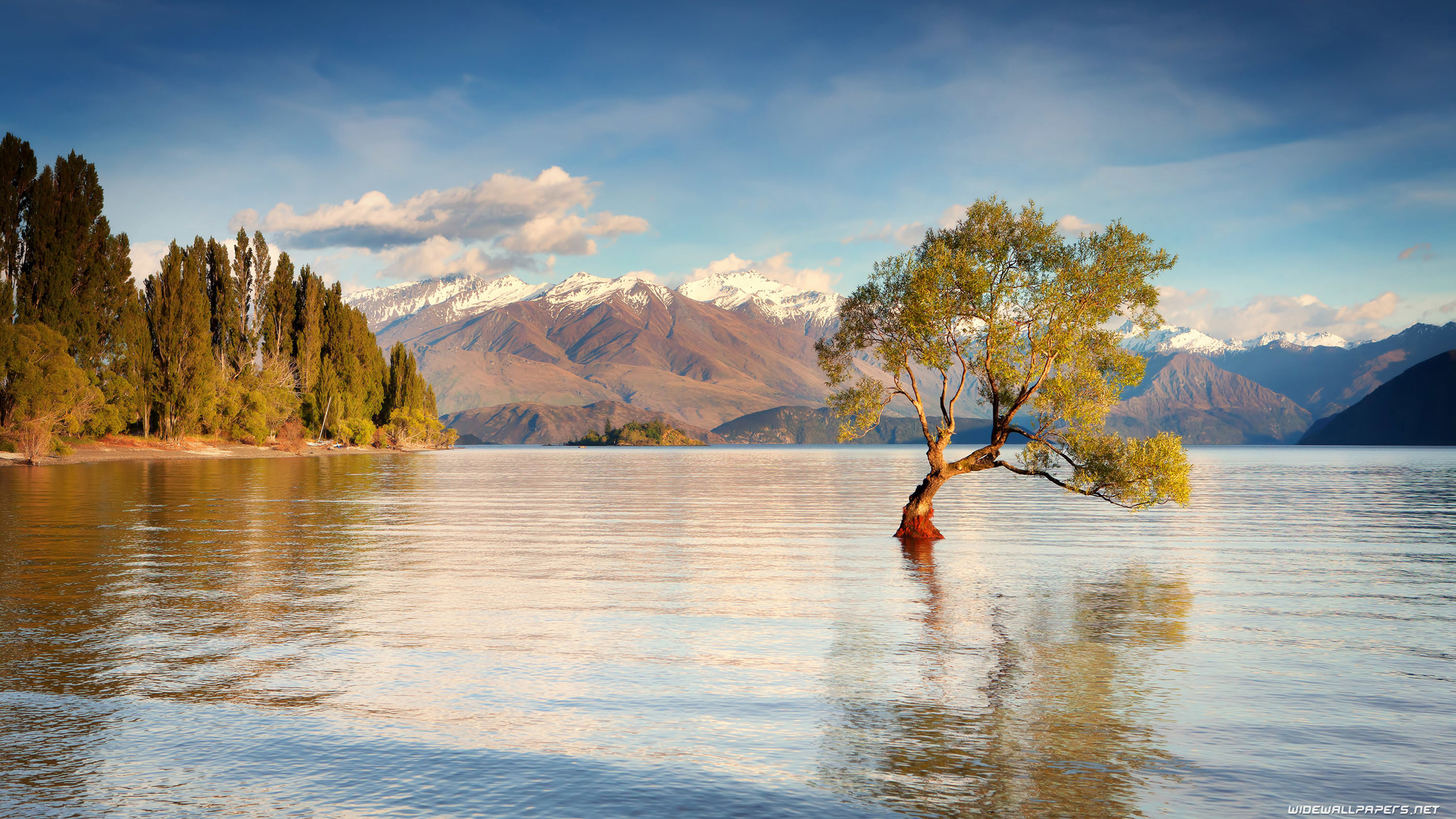 New Zealand Wallpapers 4k Ultra Hd New Zealand - New Zealand Wanaka Background , HD Wallpaper & Backgrounds