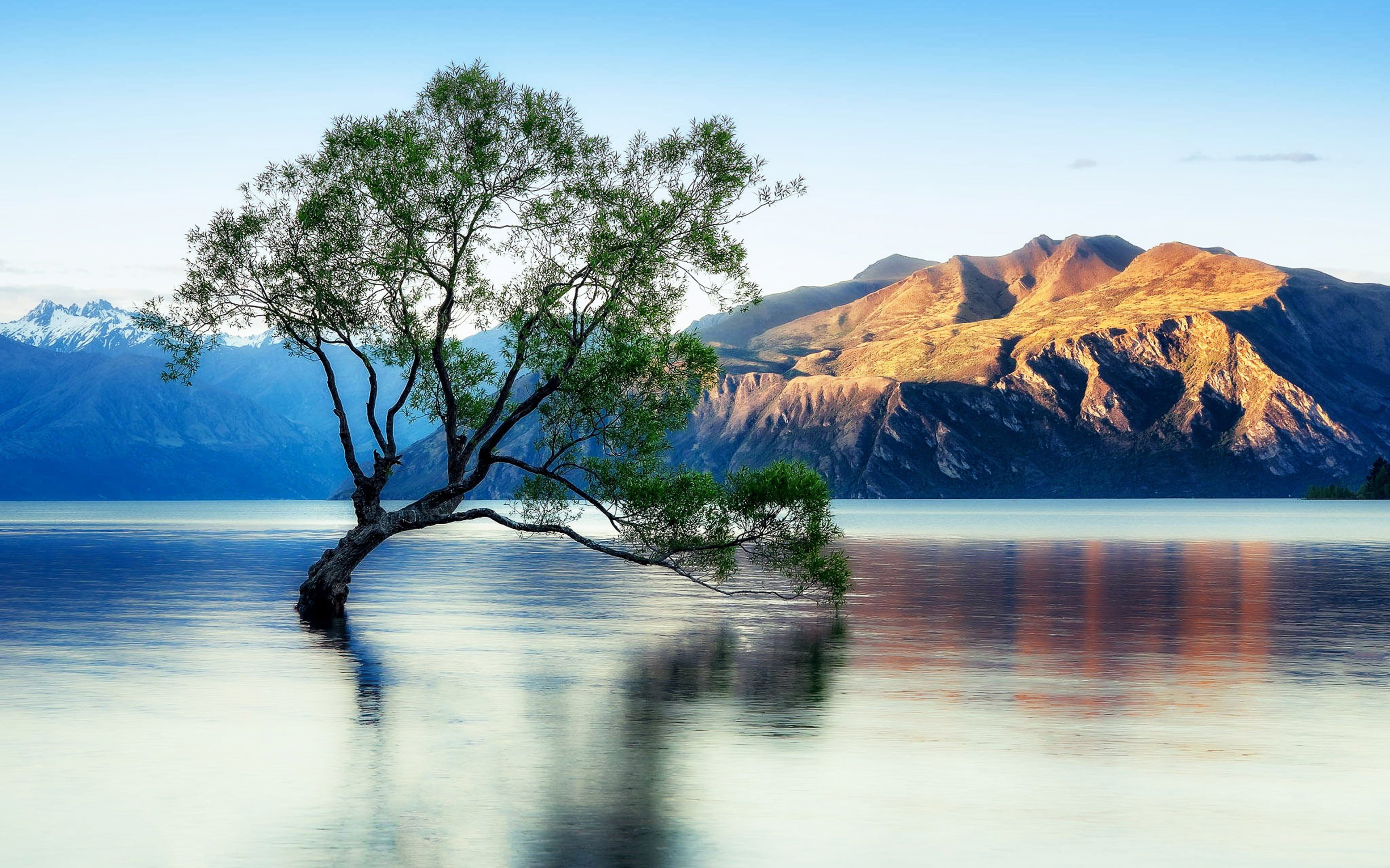 Lake Wanaka Beautiful Reflection New Zealand Wallpaper - New Zealand High Res , HD Wallpaper & Backgrounds