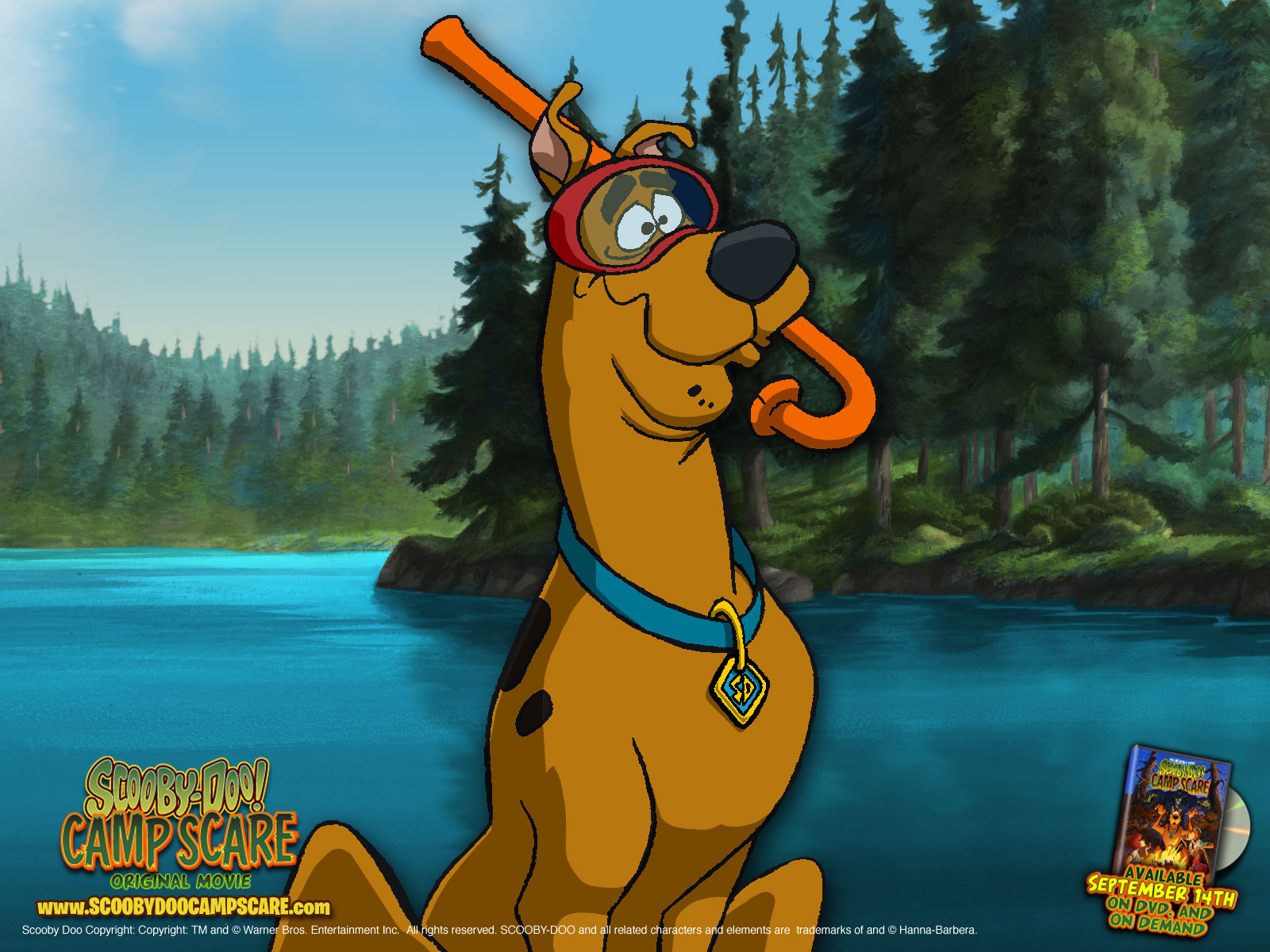 Back To 31 Scooby Doo Wallpapers Hd - Scooby Doo Camp Scare , HD Wallpaper & Backgrounds