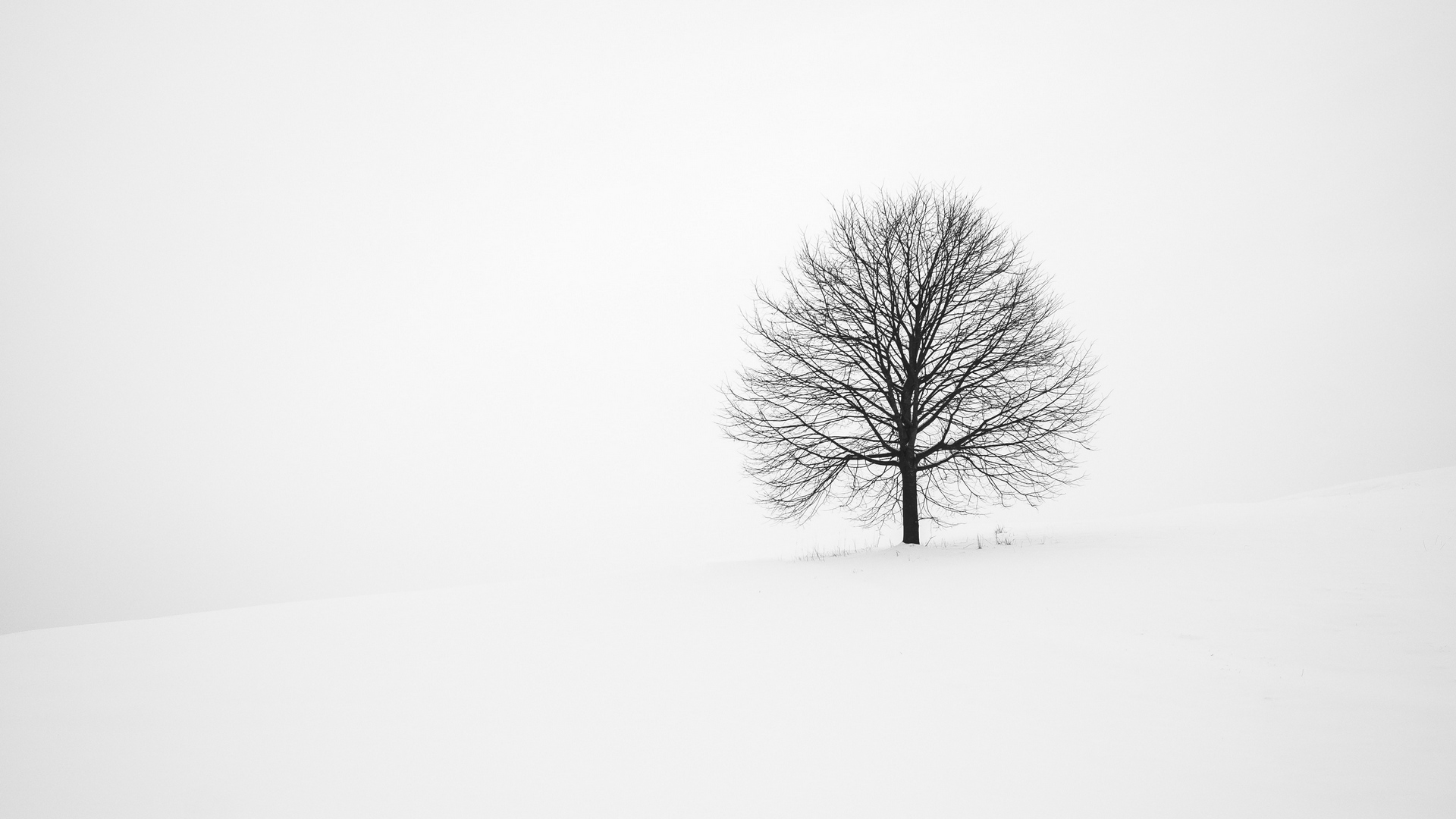 Tree Winter Snow Minimal Hd Wallpaper - Minimalist Winter Background , HD Wallpaper & Backgrounds