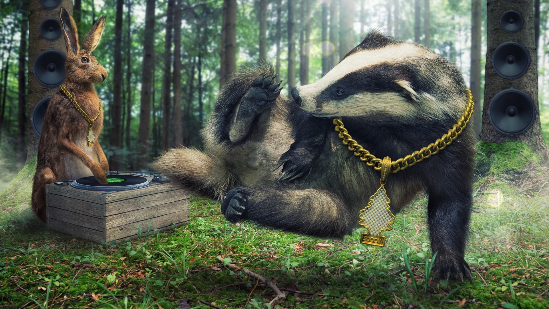 Humor Adobe Photoshop Creativity Digital Art Nature - Badger Background , HD Wallpaper & Backgrounds