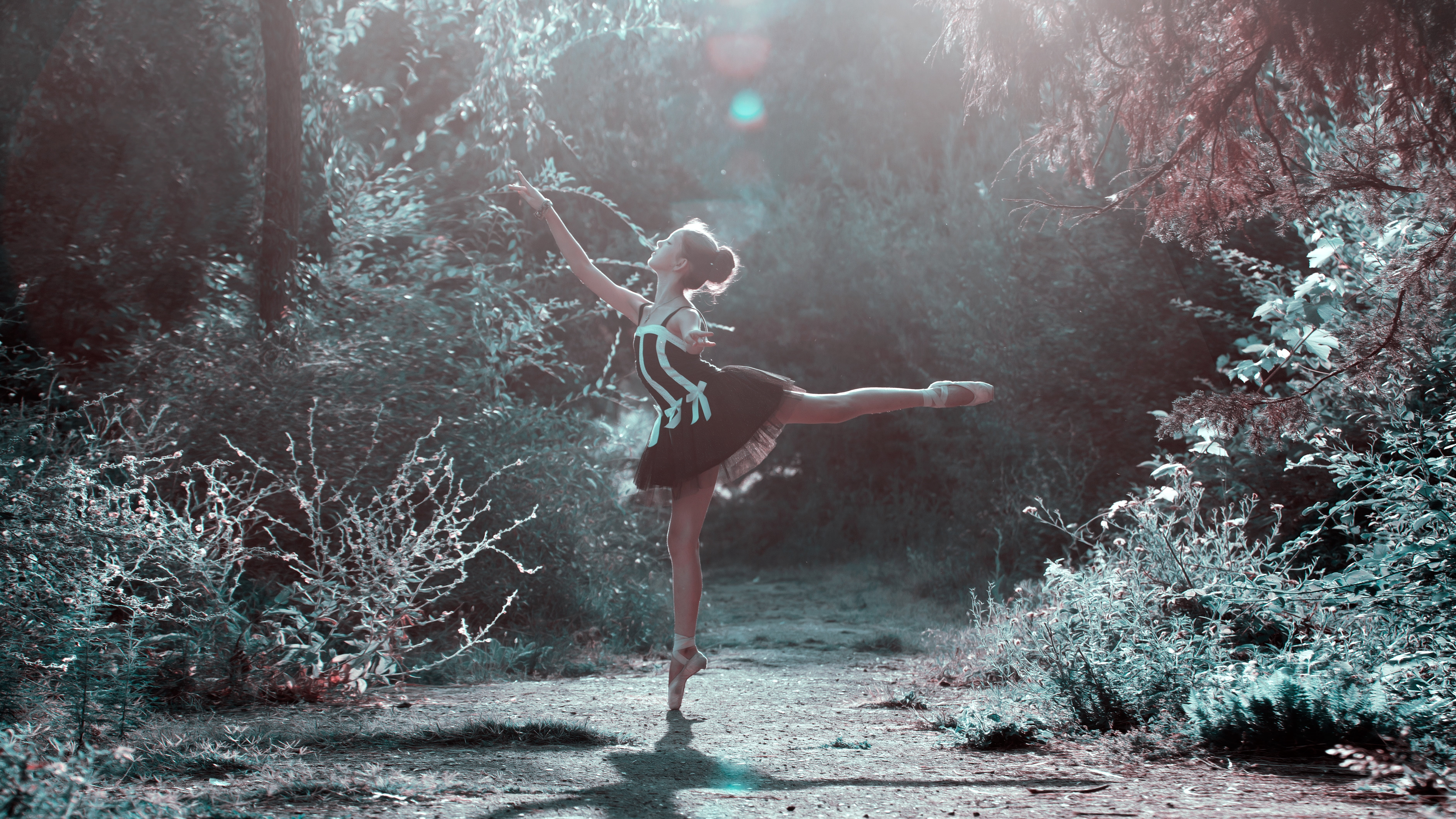 Ballerina In Black Dress Dancing In Forest Hd Wallpaper - Gloaming By Kirsty Logan , HD Wallpaper & Backgrounds