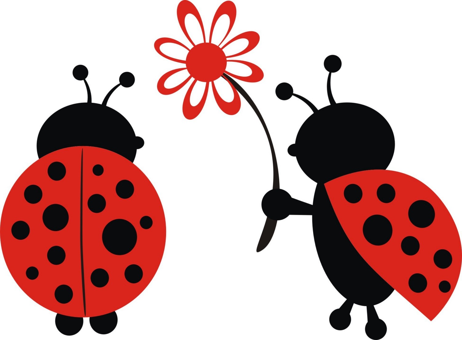 Ladybug Wallpaper Cliparts , HD Wallpaper & Backgrounds