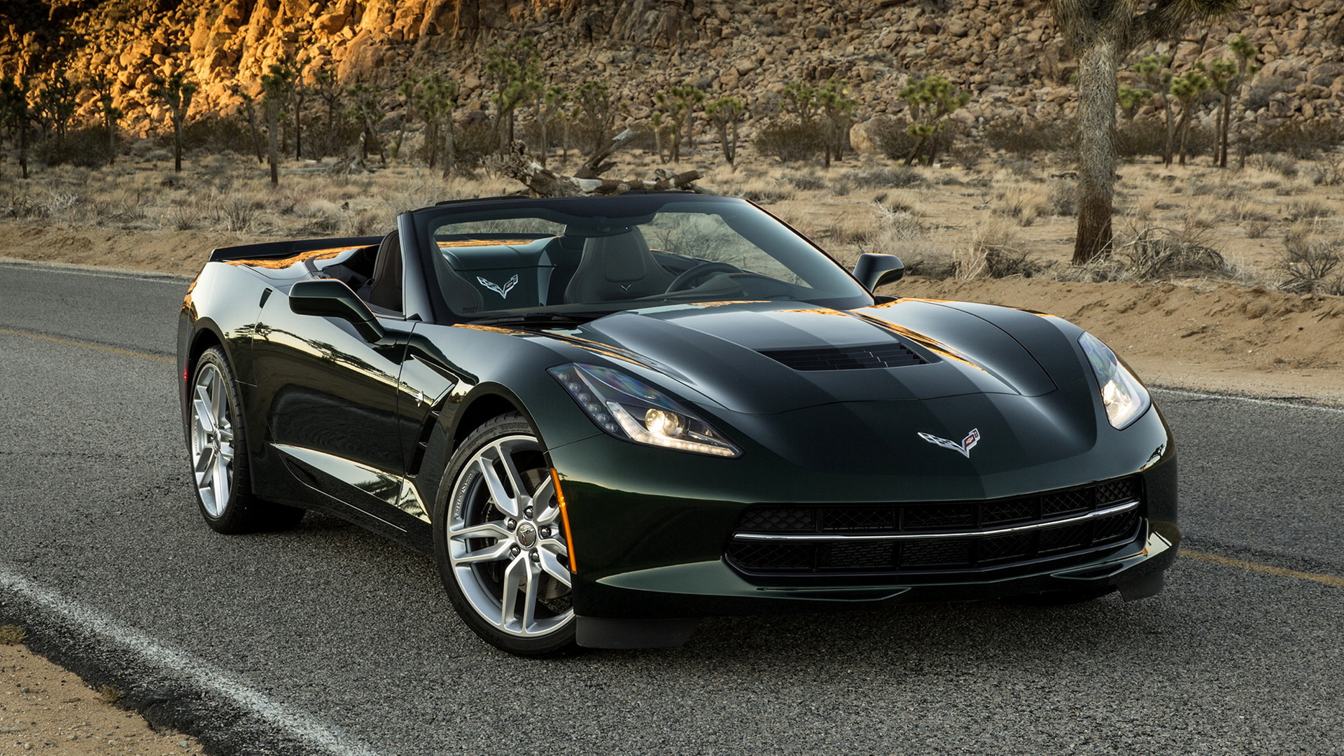 Hd 16 - - Chevrolet Corvette 2015 , HD Wallpaper & Backgrounds