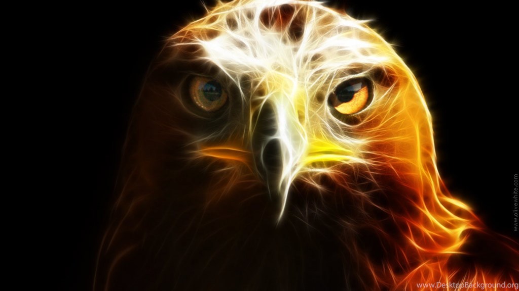 Hd Wallpapers 1080p Eagle Jacob Golden Eagle 1080p - Earthling Carl , HD Wallpaper & Backgrounds