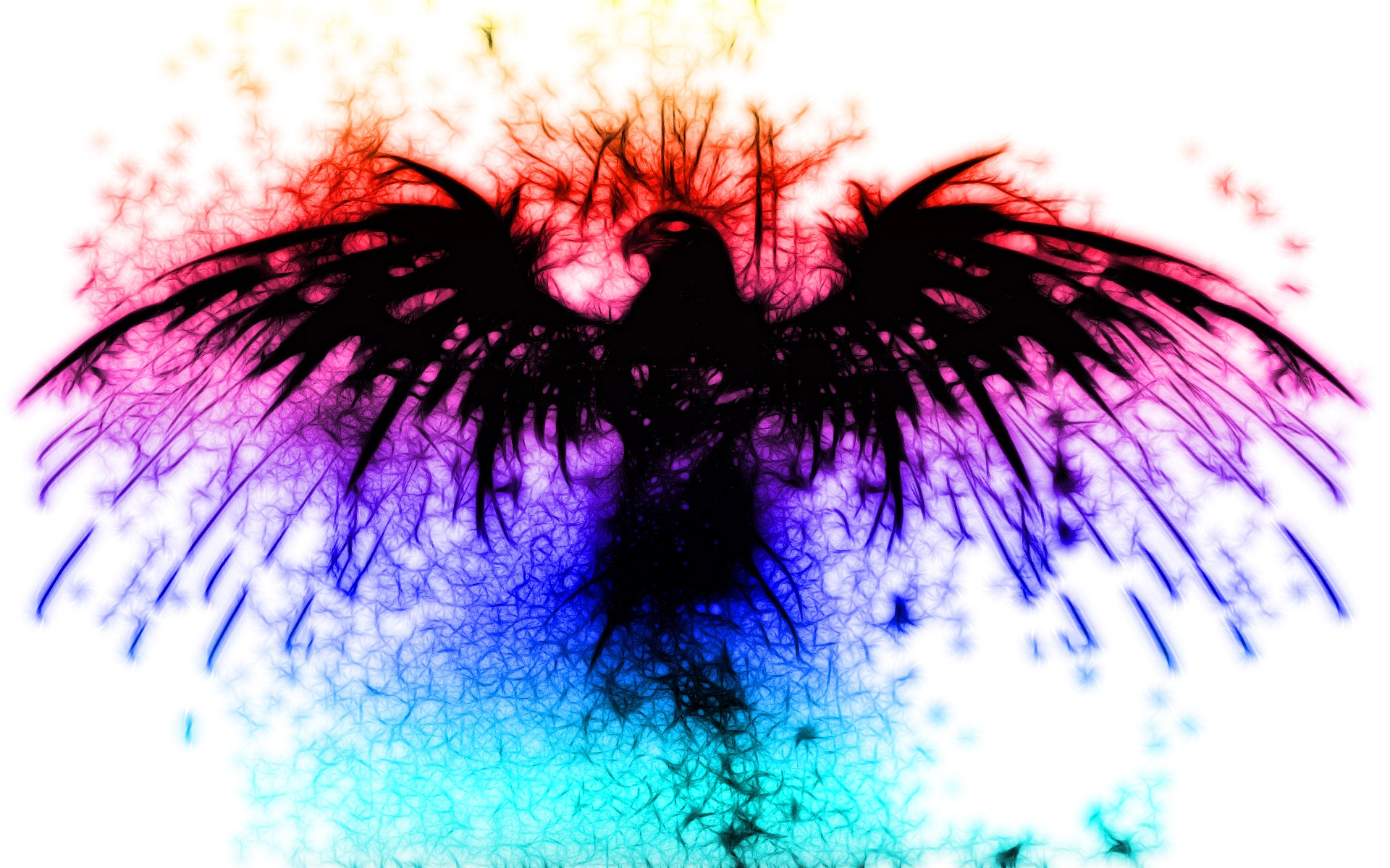 Abstract Phoenix Bird Wallpaper Hd Hd Wallpapers Desktop - Abstract Phoenix , HD Wallpaper & Backgrounds