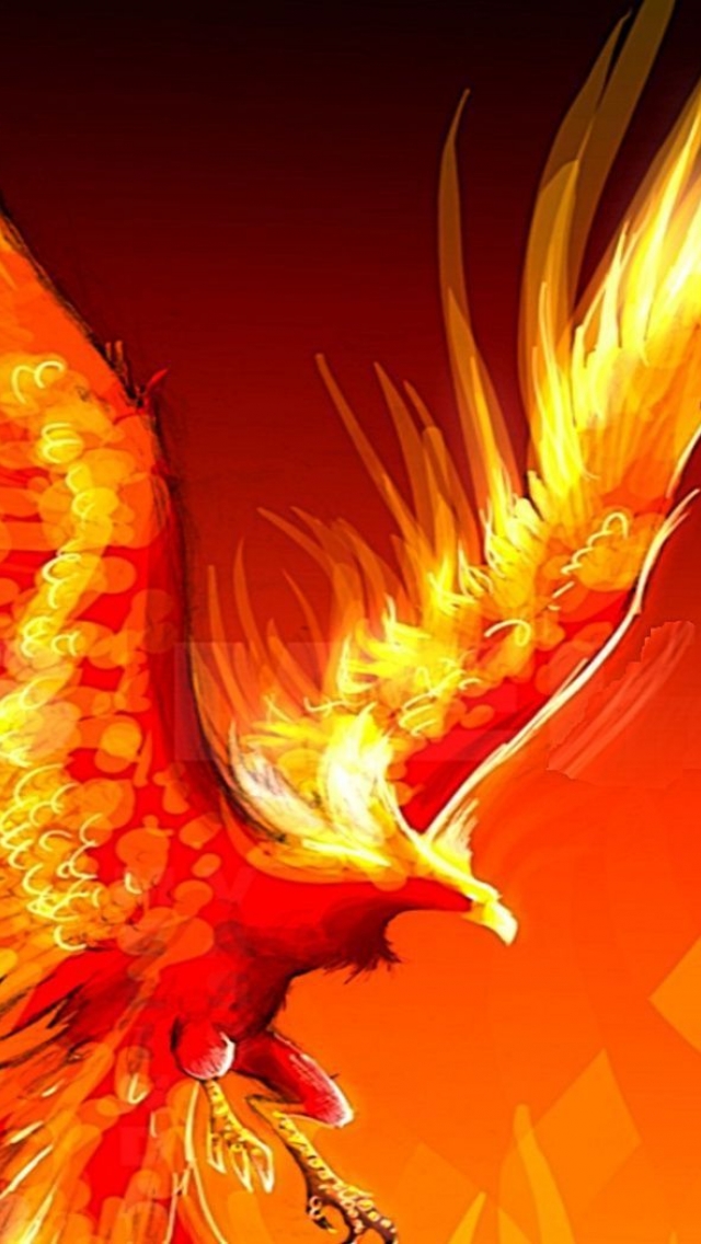 Phoenix Wallpaper - Phoenix Bird , HD Wallpaper & Backgrounds