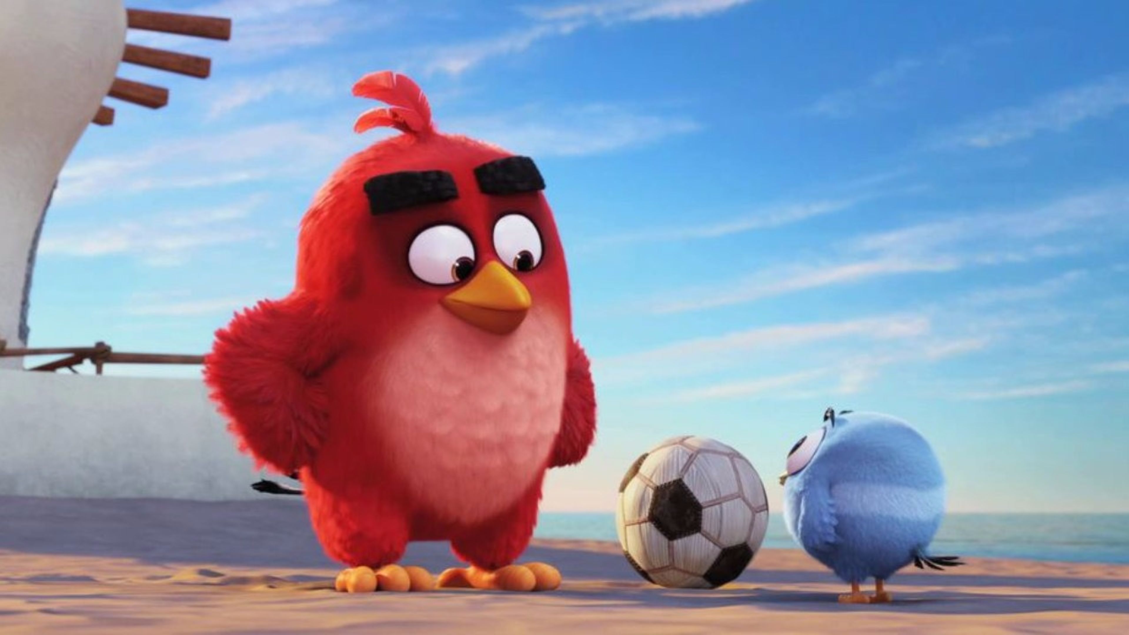 The Angry Birds Movie Full Hd Wallpapers - Angry Birds Movie Hd , HD Wallpaper & Backgrounds