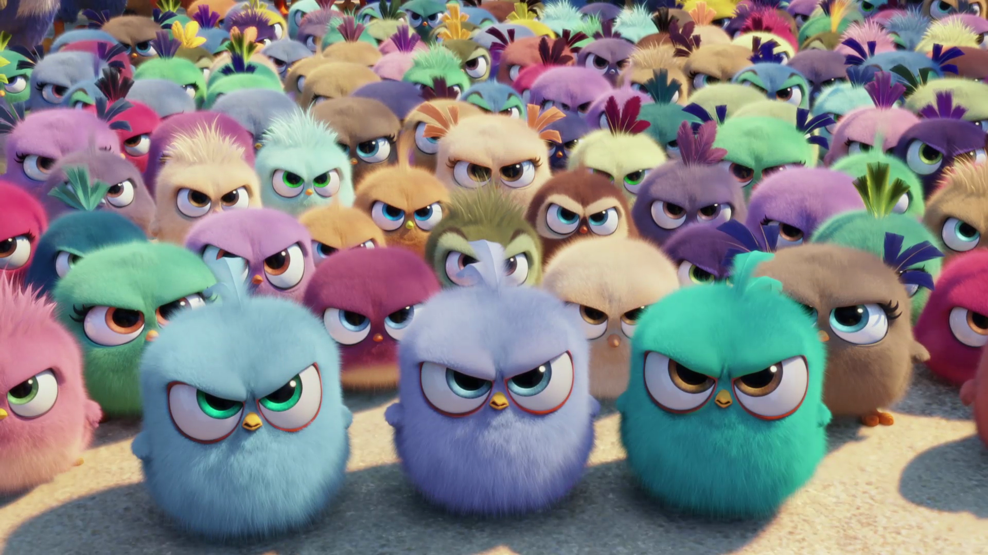 The Angry Birds Movie Hd Gallery And First Trailer - Angry Birds Movies , HD Wallpaper & Backgrounds