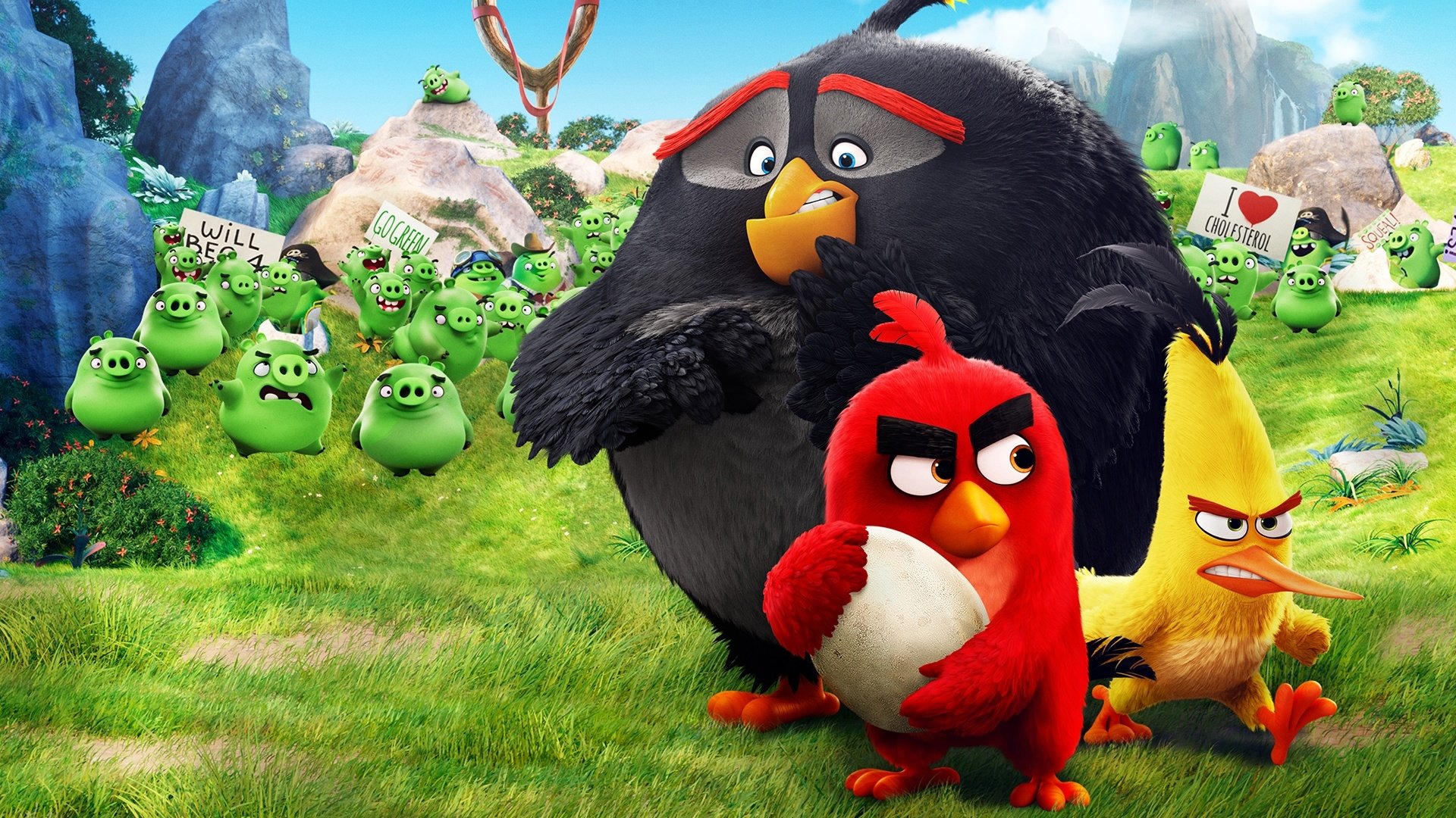 Hd Wallpaper - Angry Bird Wallpaper Hd , HD Wallpaper & Backgrounds