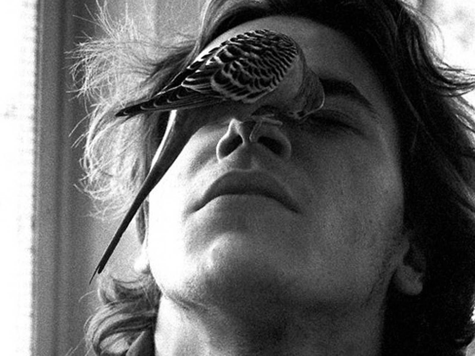 River Phoenix Wallpapersriver Wallpapers - River Phoenix (#2077971