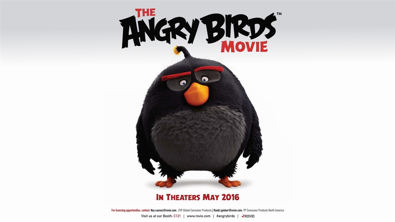 Moive / The Angry Birds Movie 2016 Hd Wallpaper - Angry Birds Movie 2015 , HD Wallpaper & Backgrounds