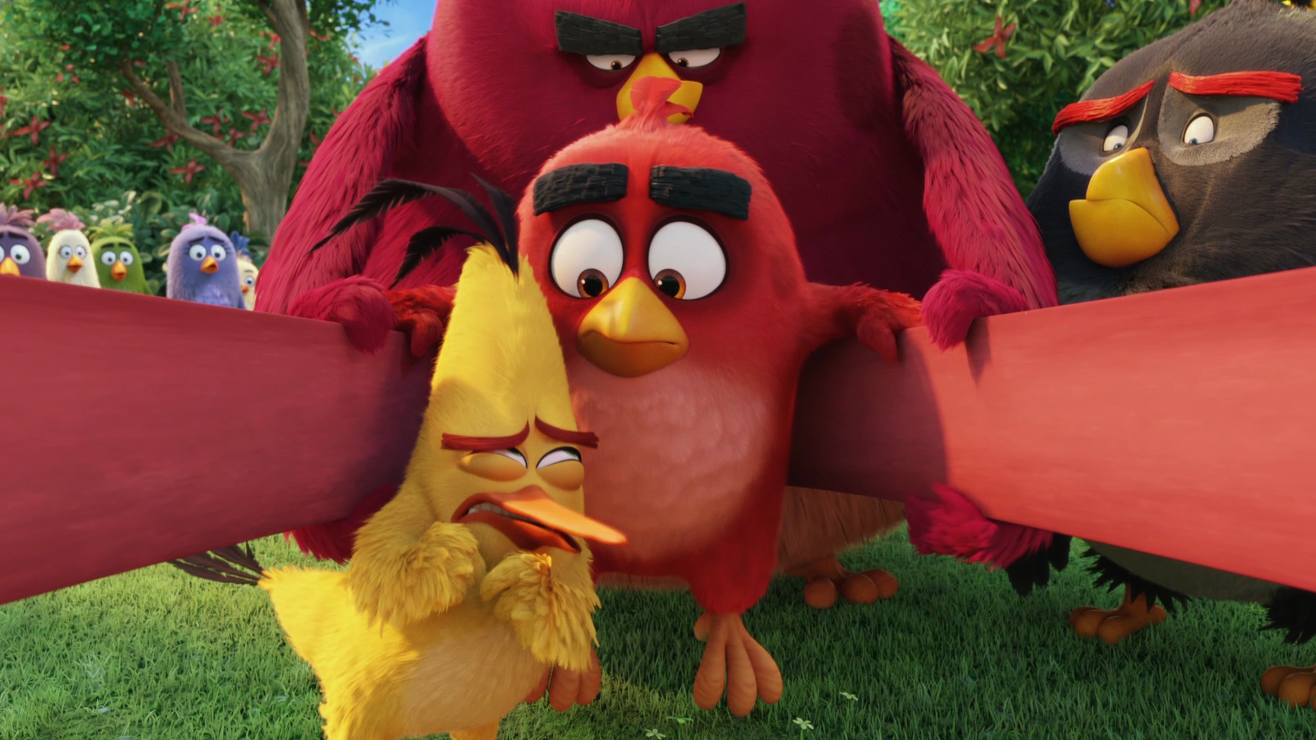 Cgi Angry Birds Angry Birds 1080p Hd Wallpaper Background - Angry Birds Movie Chuck X Red , HD Wallpaper & Backgrounds
