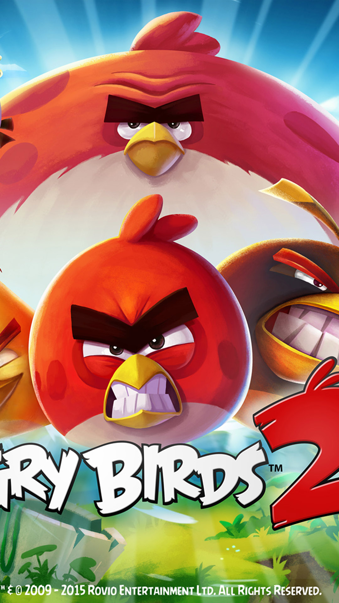 Mobile 1080×1920 - Angry Birds , HD Wallpaper & Backgrounds