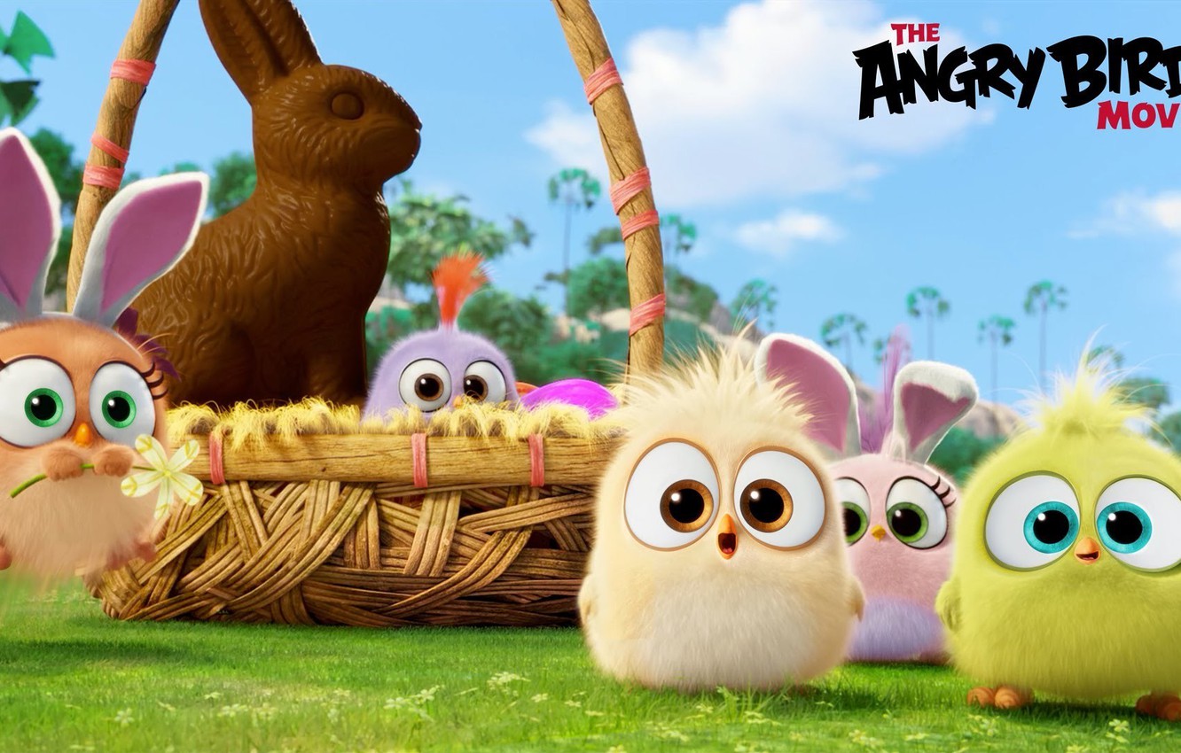 Photo Wallpaper Cartoon, Chocolate, Birds, Basket, - Angry Birds Movie Wallpaper Hd , HD Wallpaper & Backgrounds