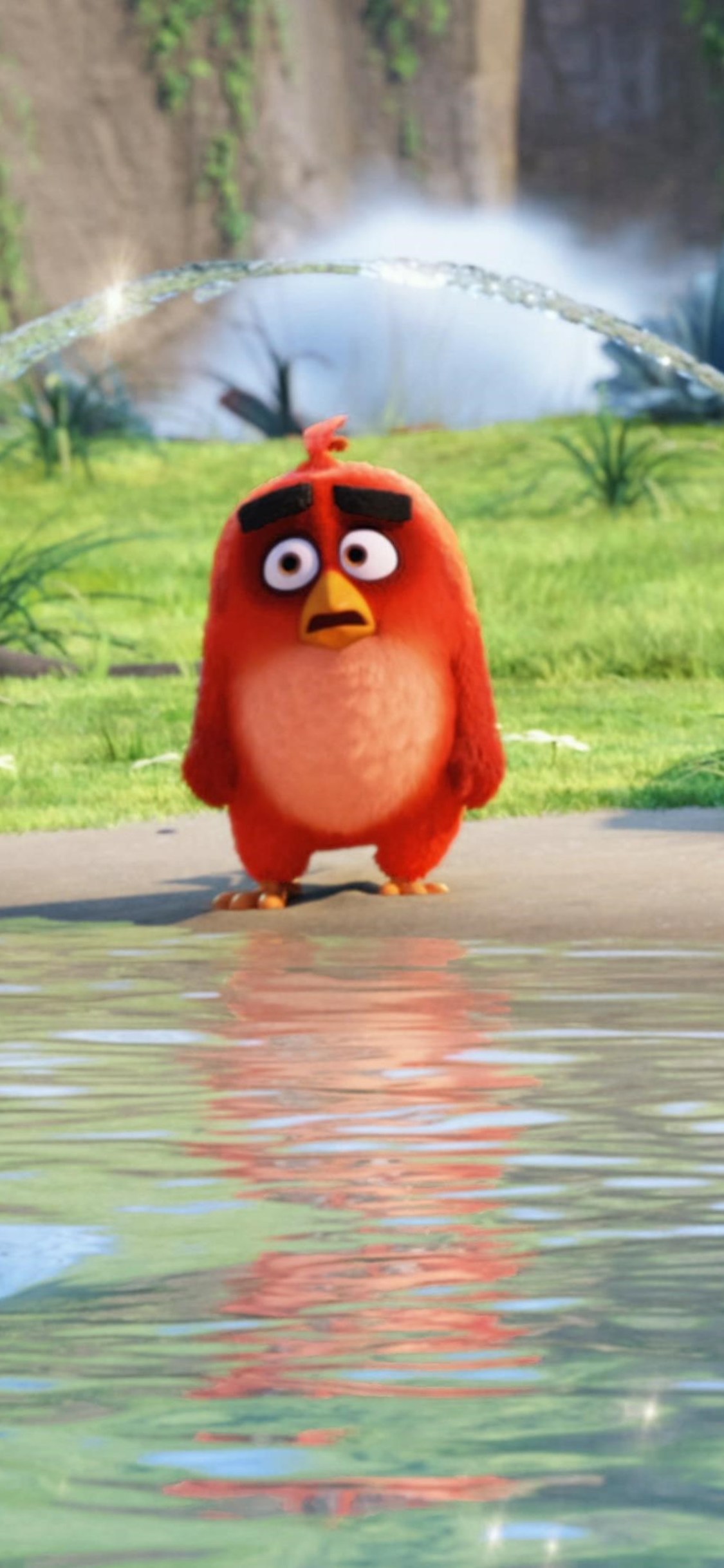 The Angry Birds Movie Latest - Angry Bird Movie Background , HD Wallpaper & Backgrounds