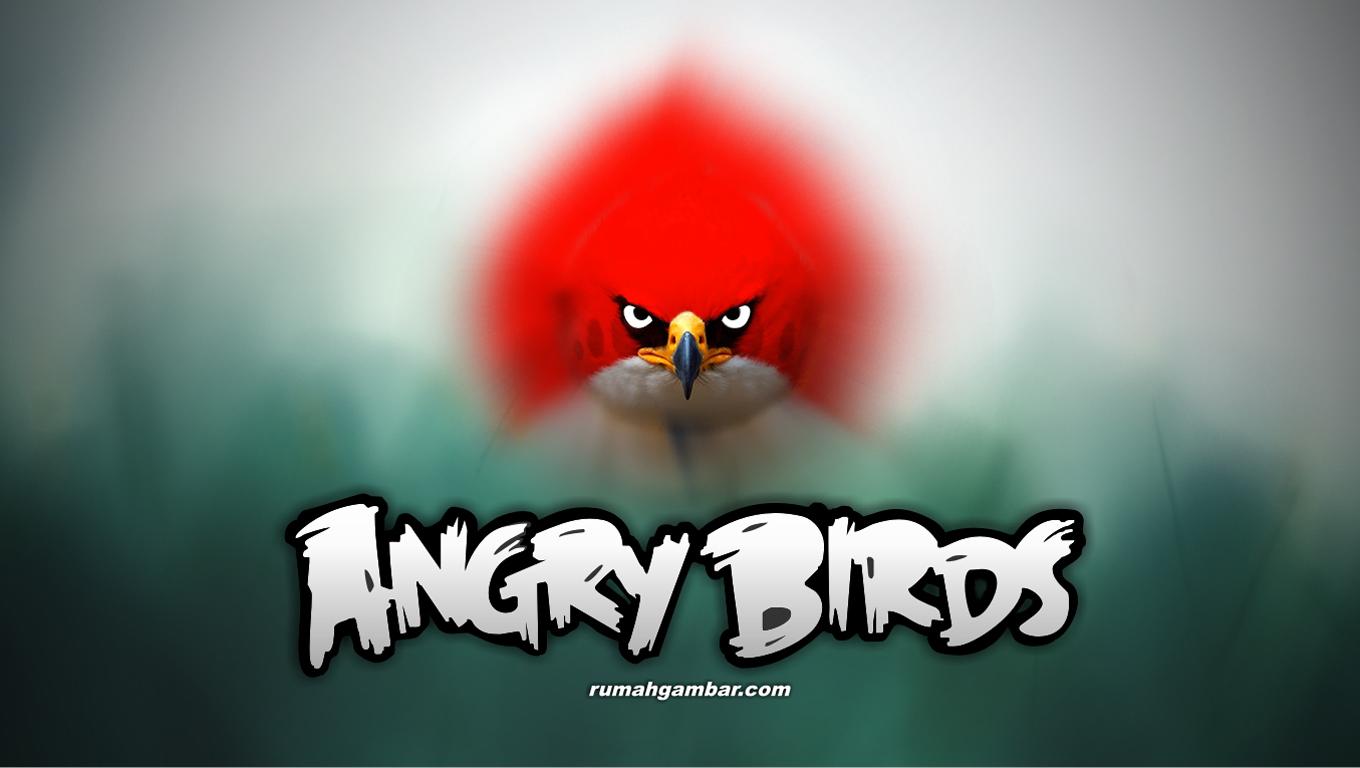 The Angry Birds Movie Wallpapers High Resolution And - Angry Birds Hd Wallpapers For Desktop , HD Wallpaper & Backgrounds