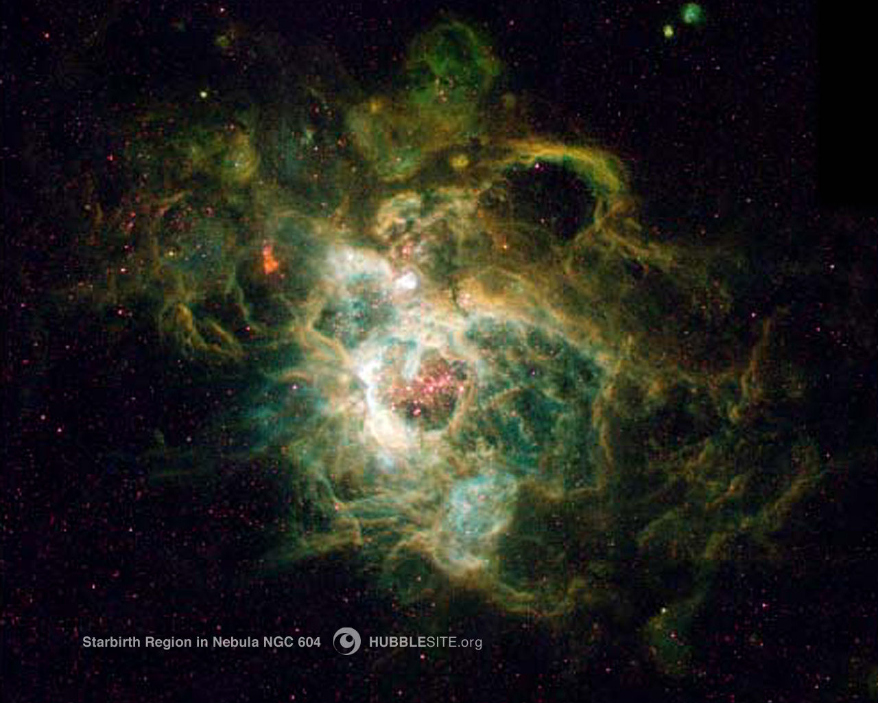 Ngc 604 - - Nebula Ngc 604 , HD Wallpaper & Backgrounds