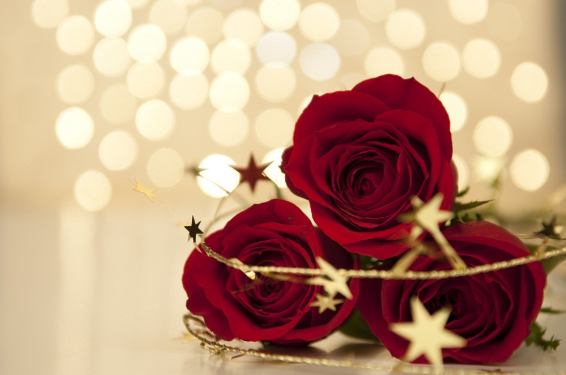 Golden Rose Wallpaper - Red And Golden Rose , HD Wallpaper & Backgrounds