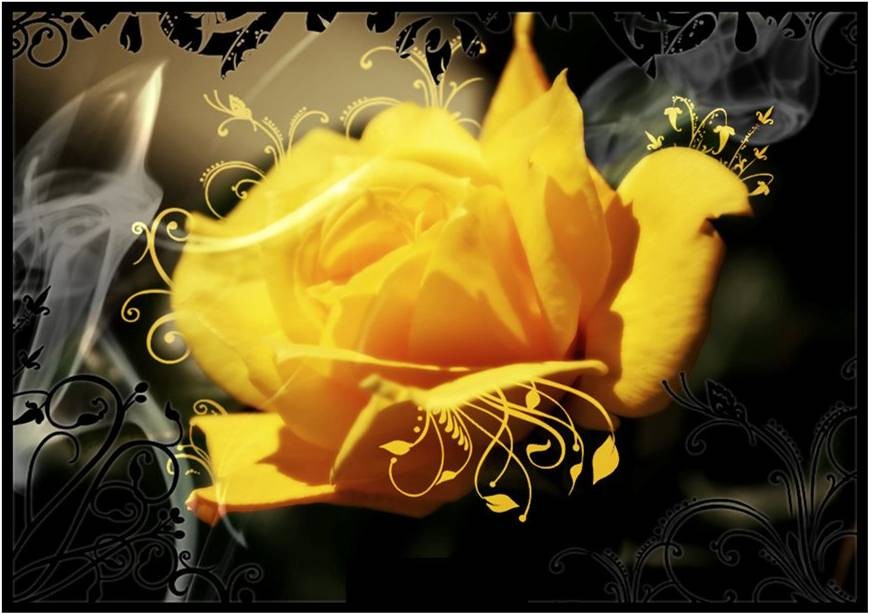 Decorative Golden Frame Beauty Yellow Rose Flower Bouquet - Chill Out , HD Wallpaper & Backgrounds