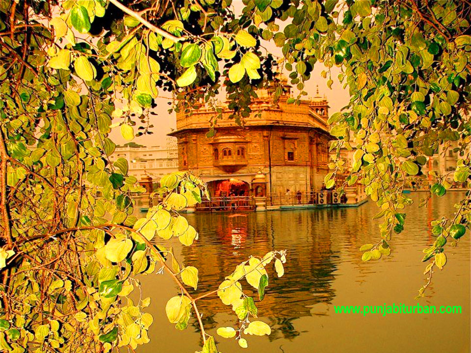 Golden Temple Amritsar Hd Wallpaper - Dukh Bhanjani Beri Amritsar , HD Wallpaper & Backgrounds