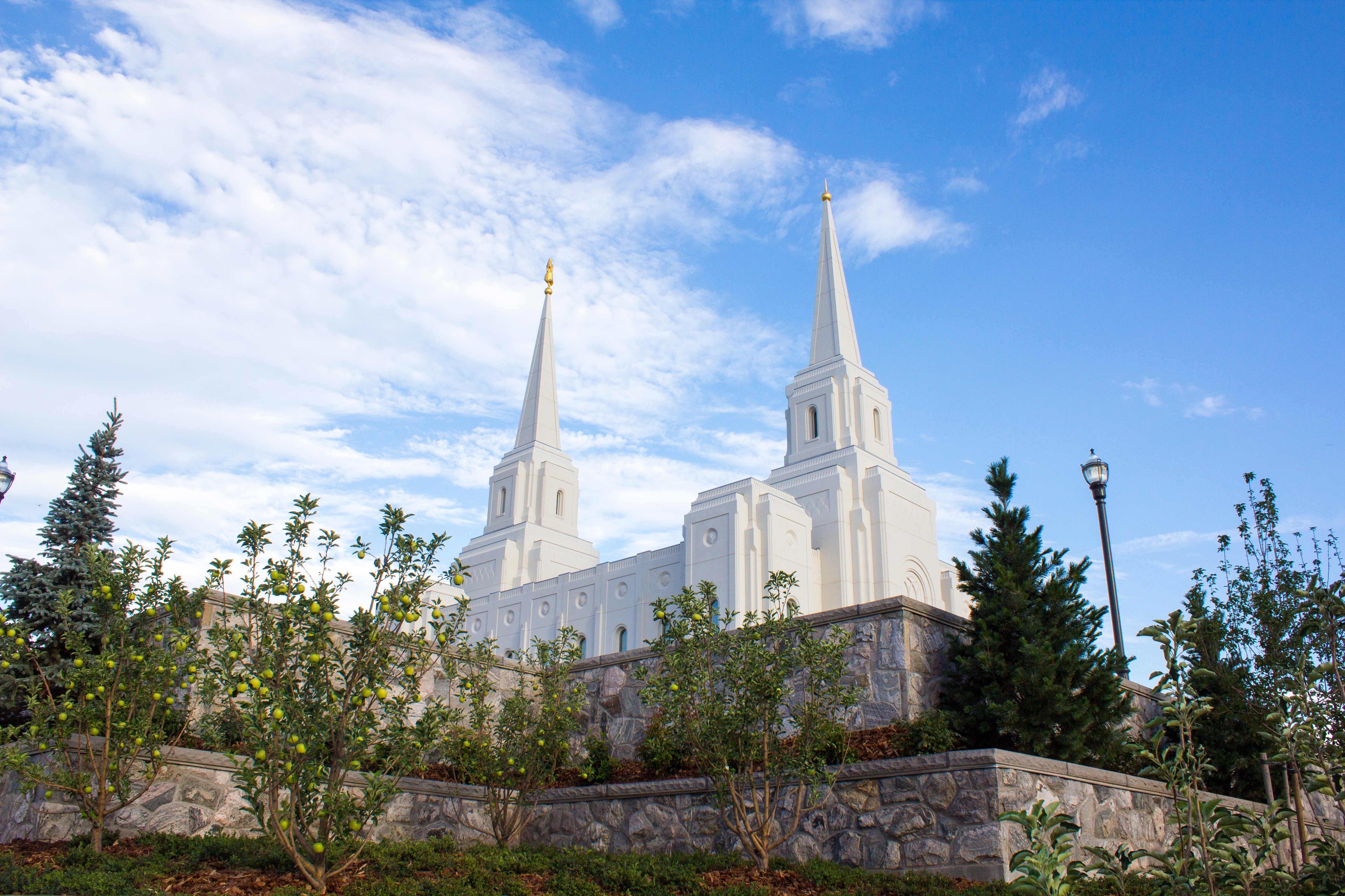 Manti, Church, Lds, Temple, Building, Tree, Architecture - The Church Of Jesus Christ Of Latter-day Saints , HD Wallpaper & Backgrounds