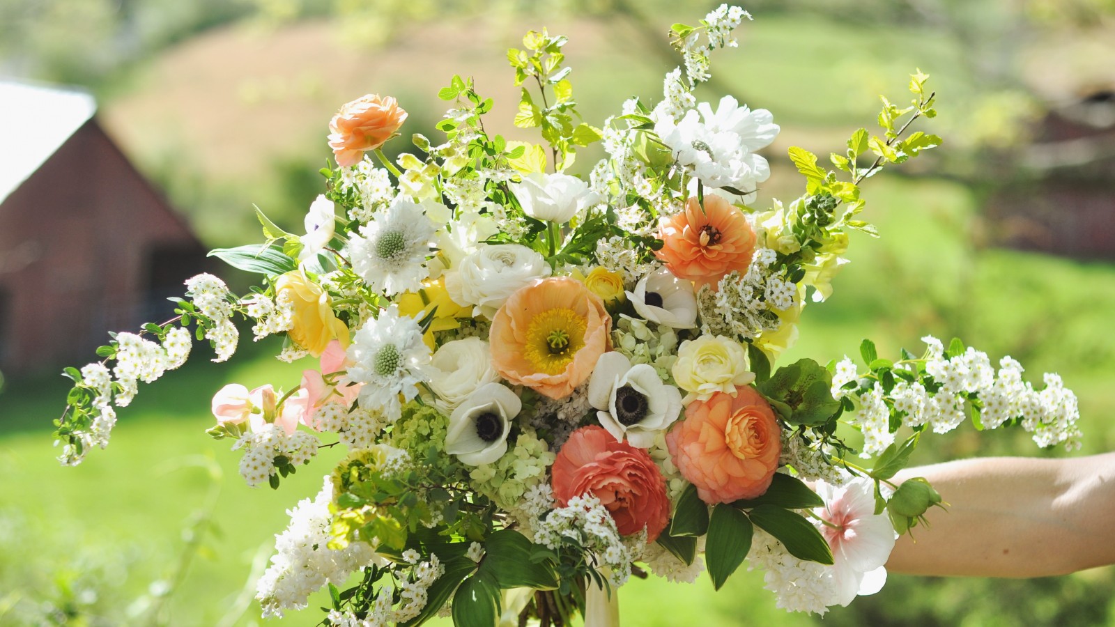 Download Summer Flowers Pictures, Summer Flowers Wallpaper - Wild Flower Wildflower Bouquet , HD Wallpaper & Backgrounds